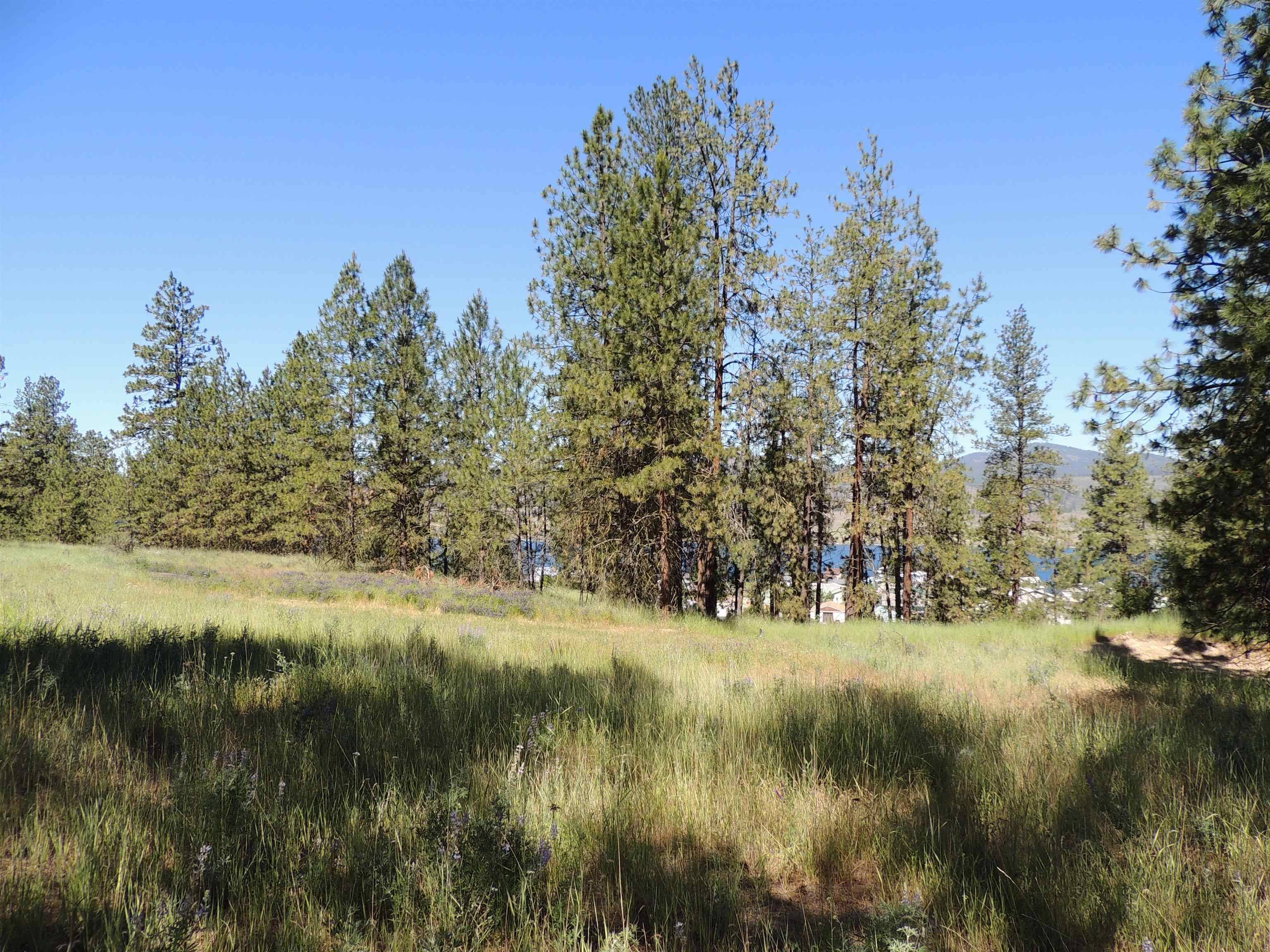 Davenport, WA 99122,Lot 2 River Bend Lane E