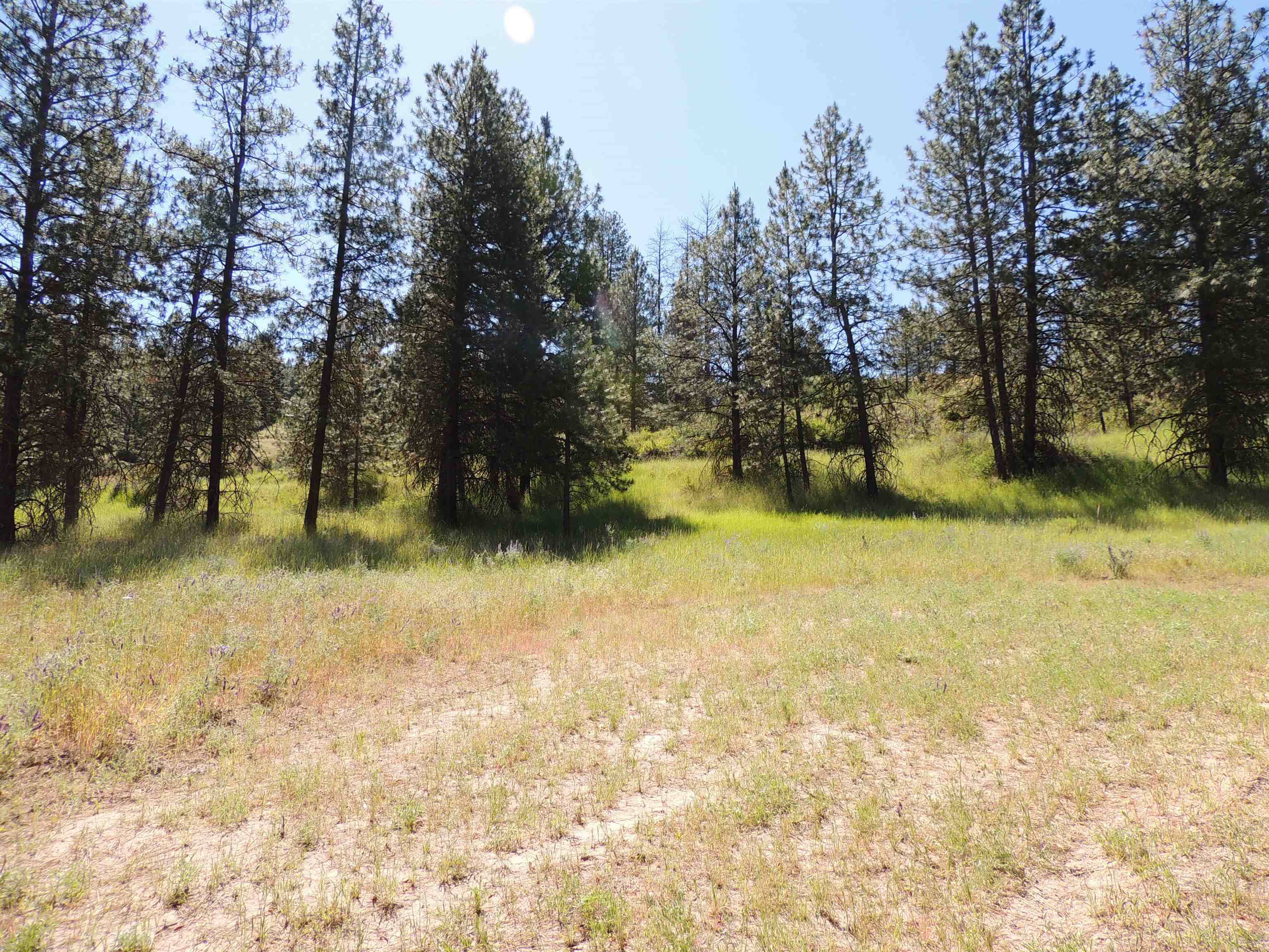 Davenport, WA 99122,Lot 2 River Bend Lane E