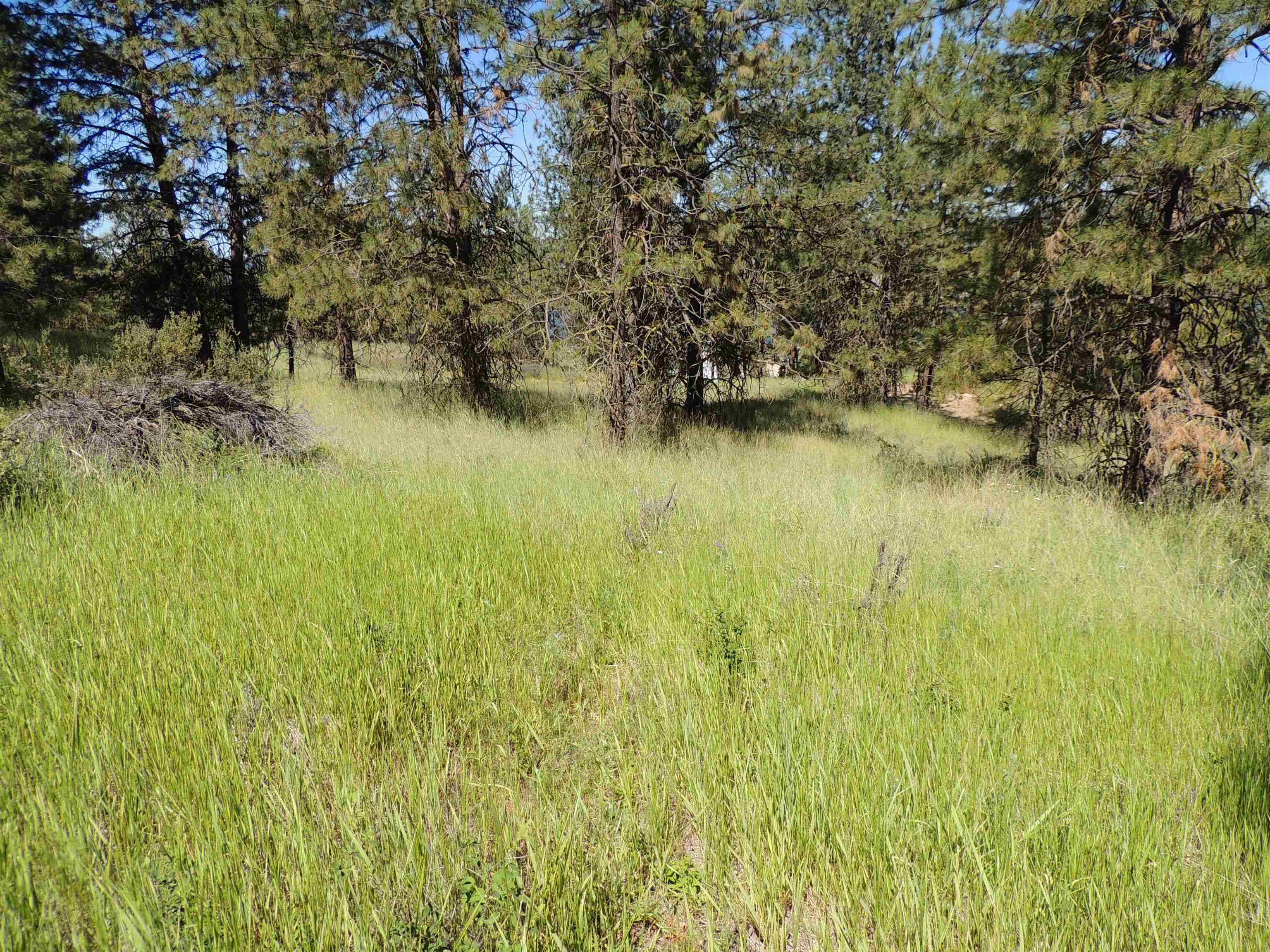 Davenport, WA 99122,Lot 2 River Bend Lane E