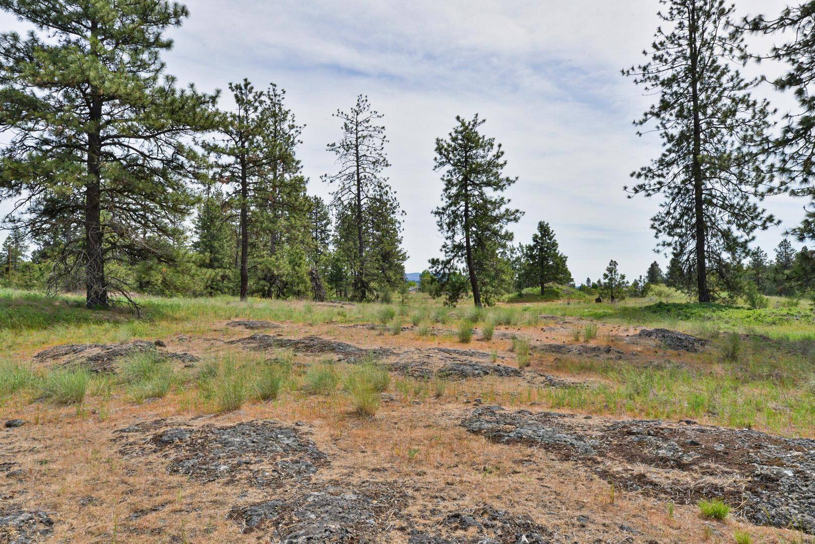 Spokane, WA 99224,3811 W Cliffside Ln