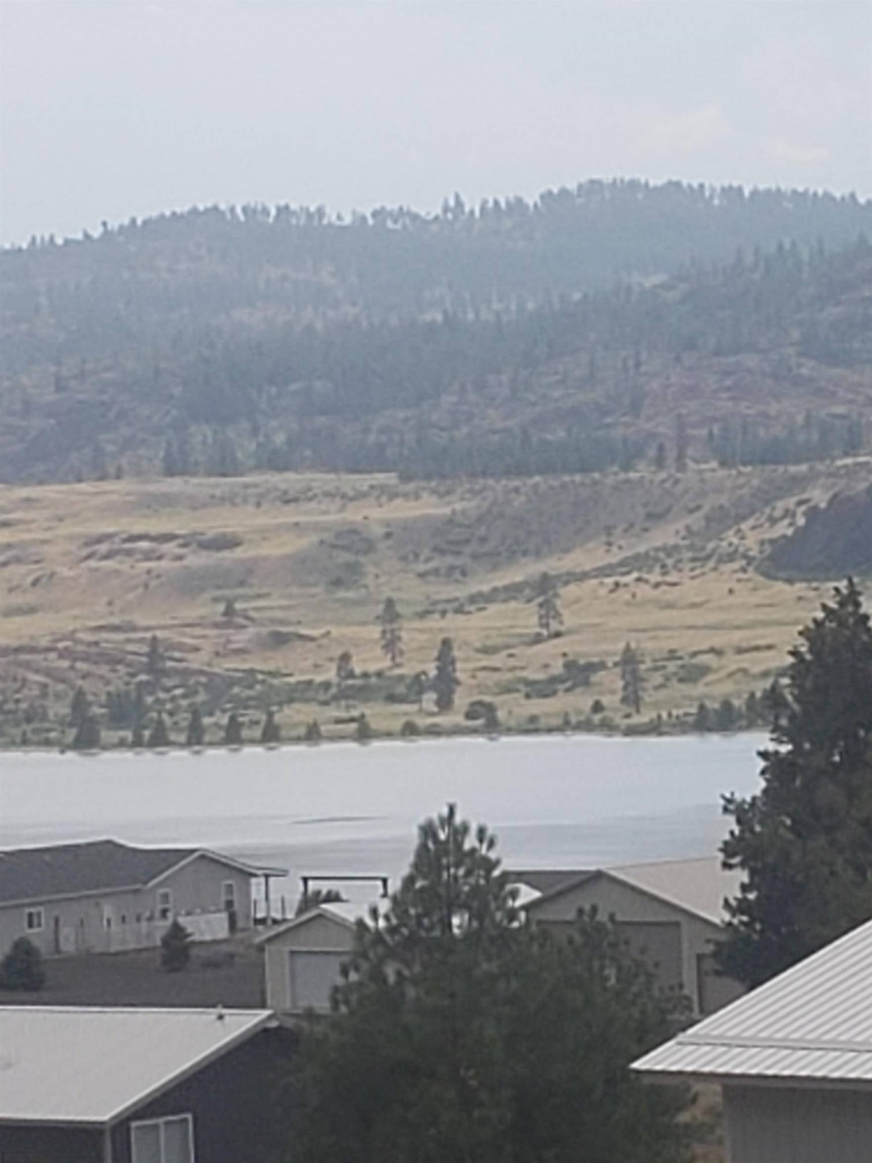 Deer Meadows, WA 99122,42480 N Buckhorn Dr