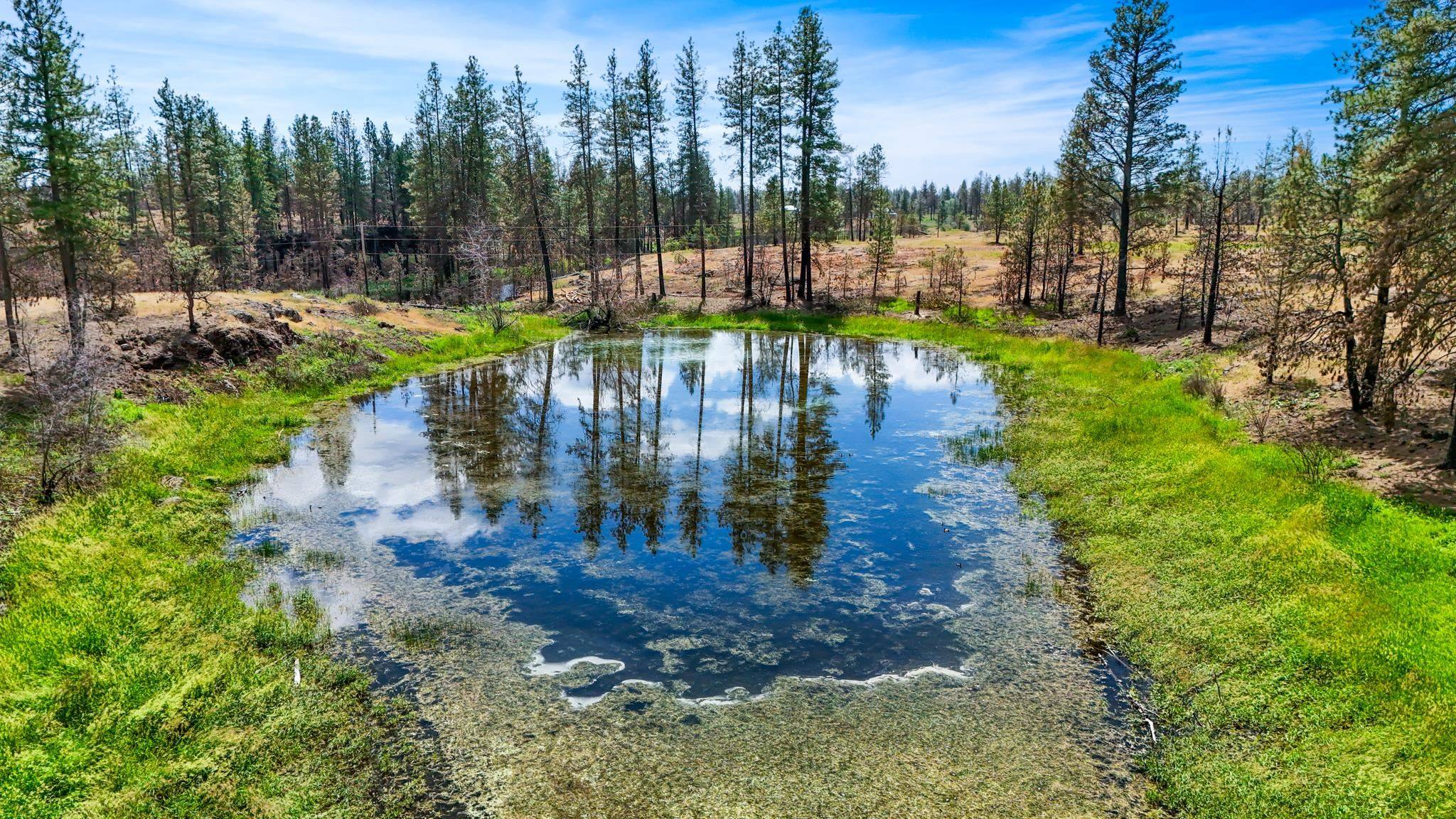 Medical Lake, WA 99022,11006 S Green Gate Ln