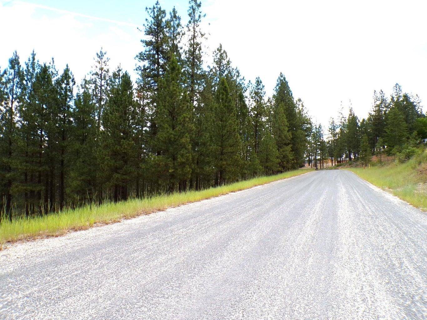 Kettle Falls, WA 99141,1185 Fumi Cir