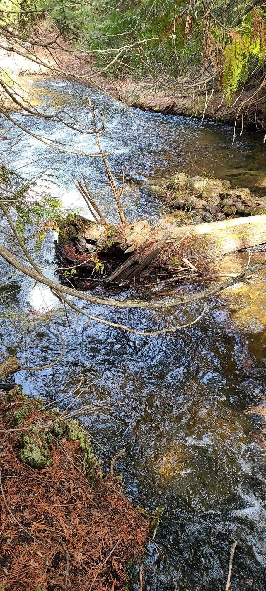 Usk, WA 99180,XXX Highway 211 Hwy