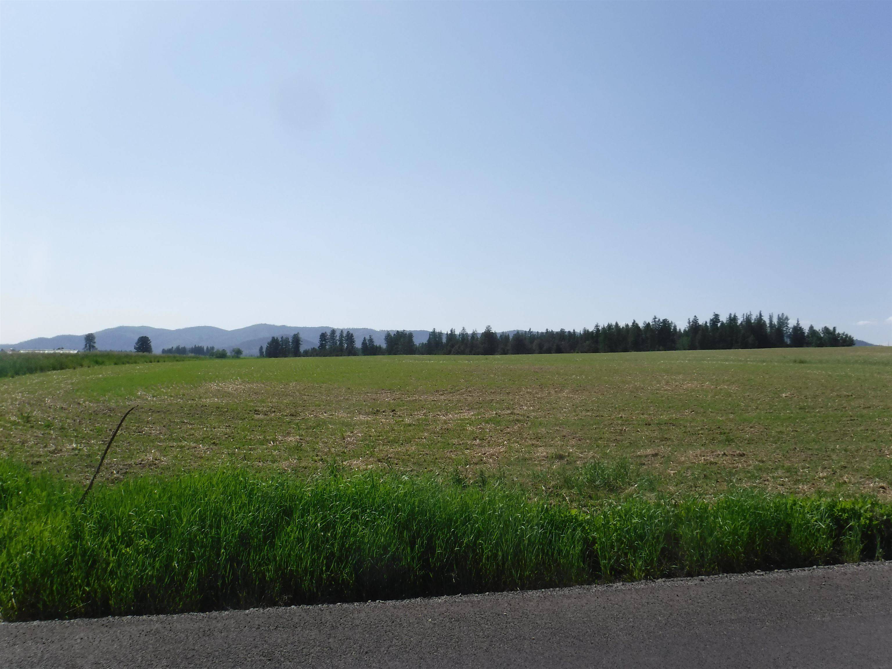 Deer Park, WA 99006,00 Spotted Lot 1 Rd