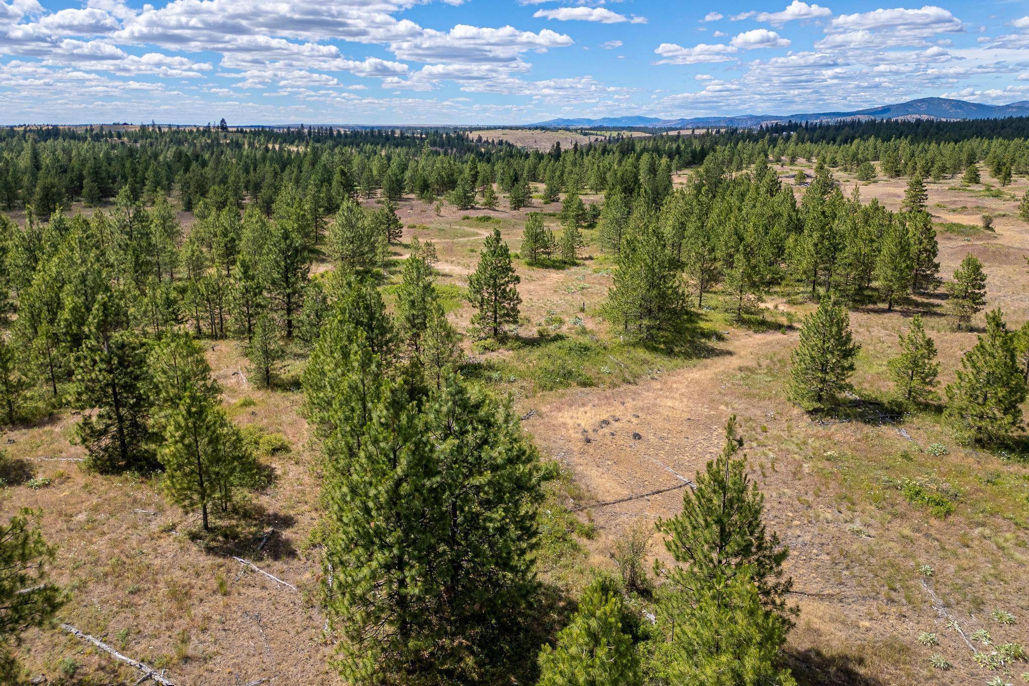 Creston, WA 99117,Lot 7 Prairie Ln