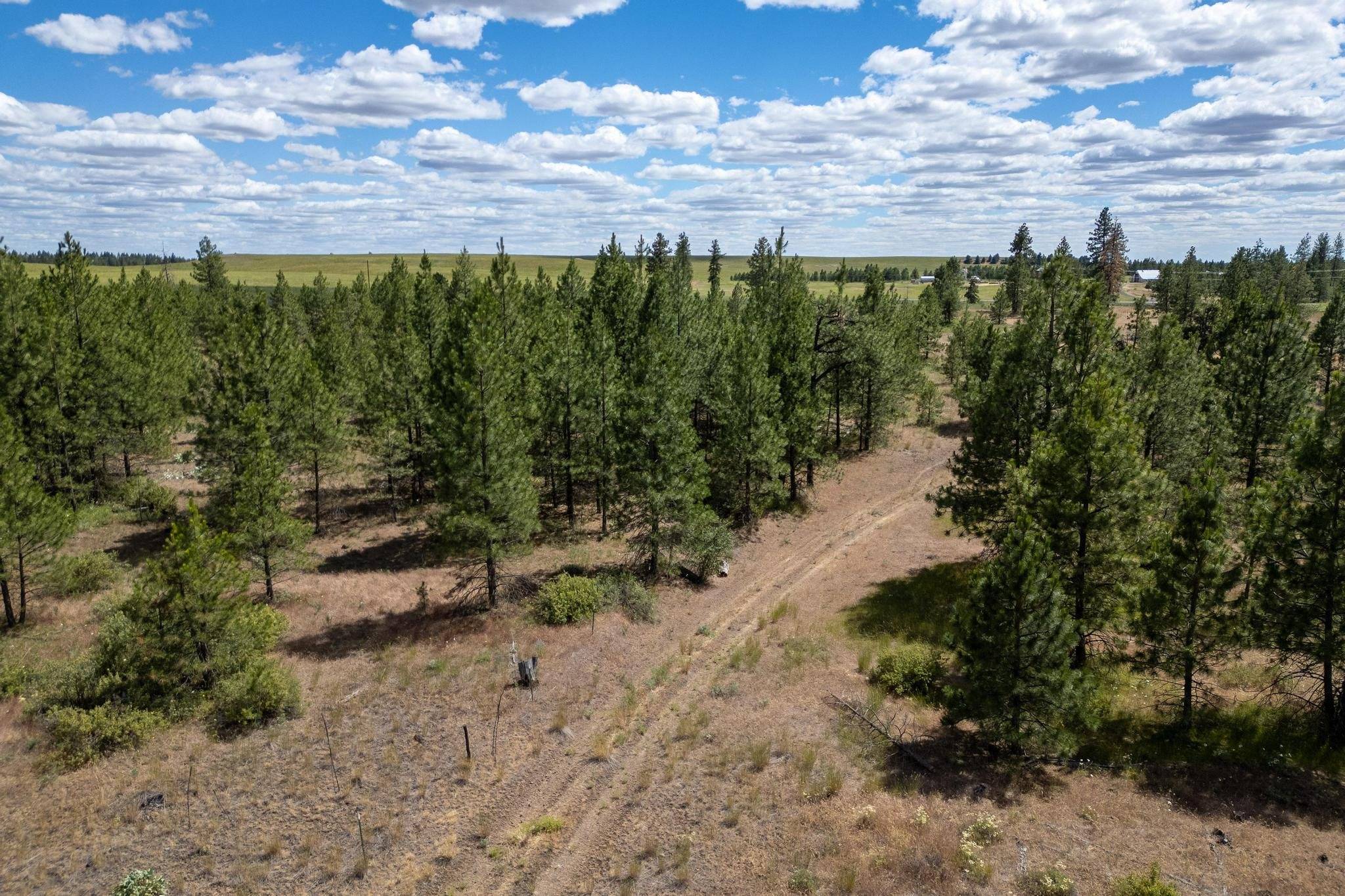 Creston, WA 99117,Lot 7 Prairie Ln