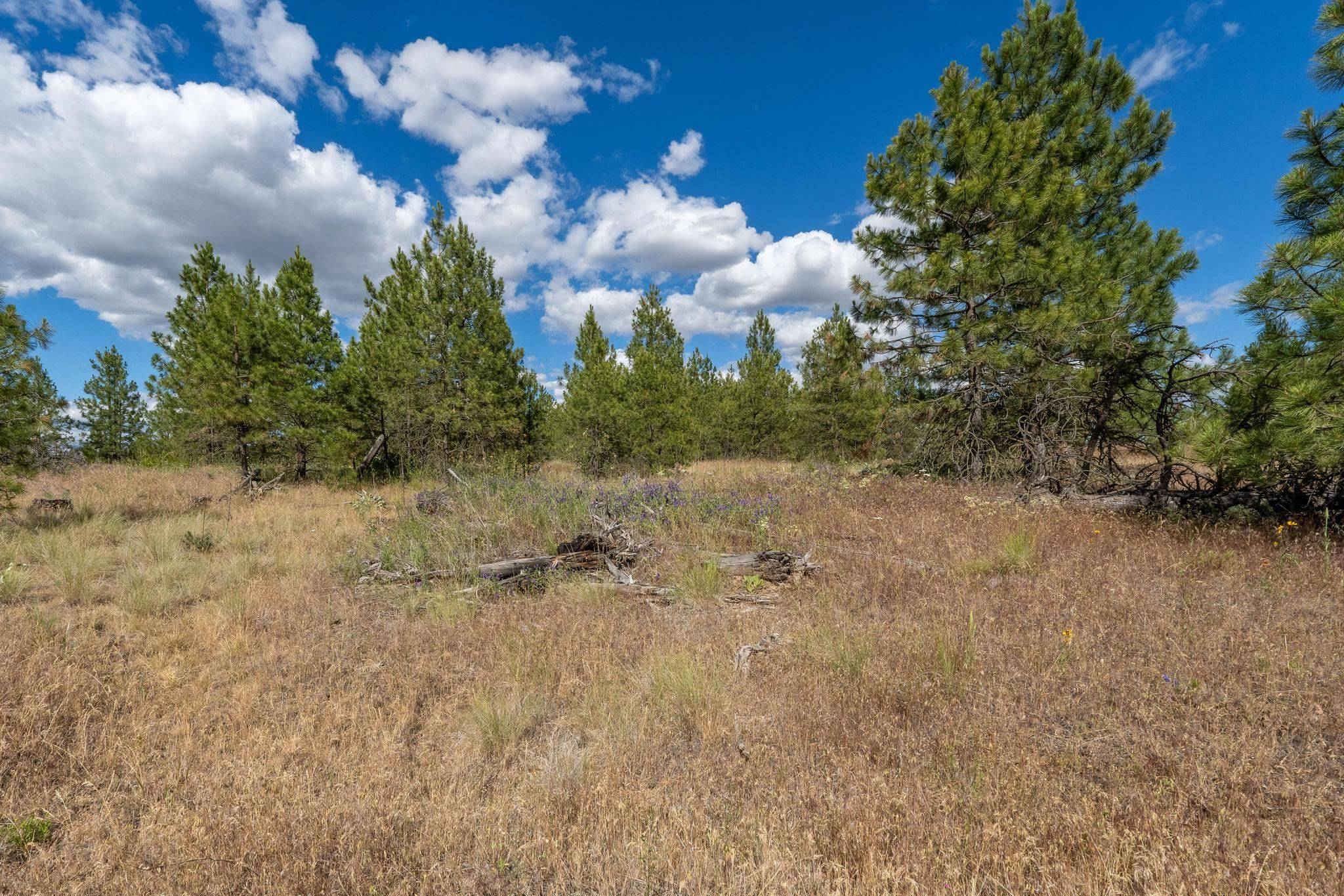 Creston, WA 99117,Lot 7 Prairie Ln