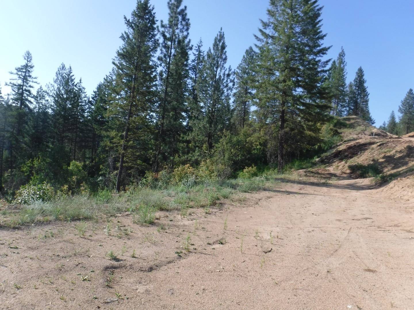 Loon Lake, WA 99148,Lot 2 Moose Ridge WAY