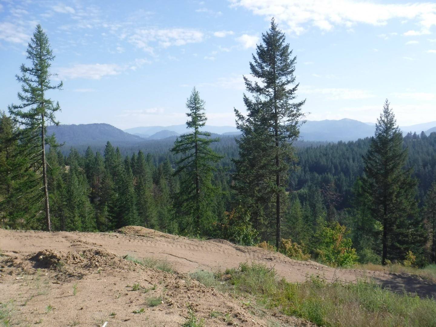 Loon Lake, WA 99148,Lot 2 Moose Ridge WAY