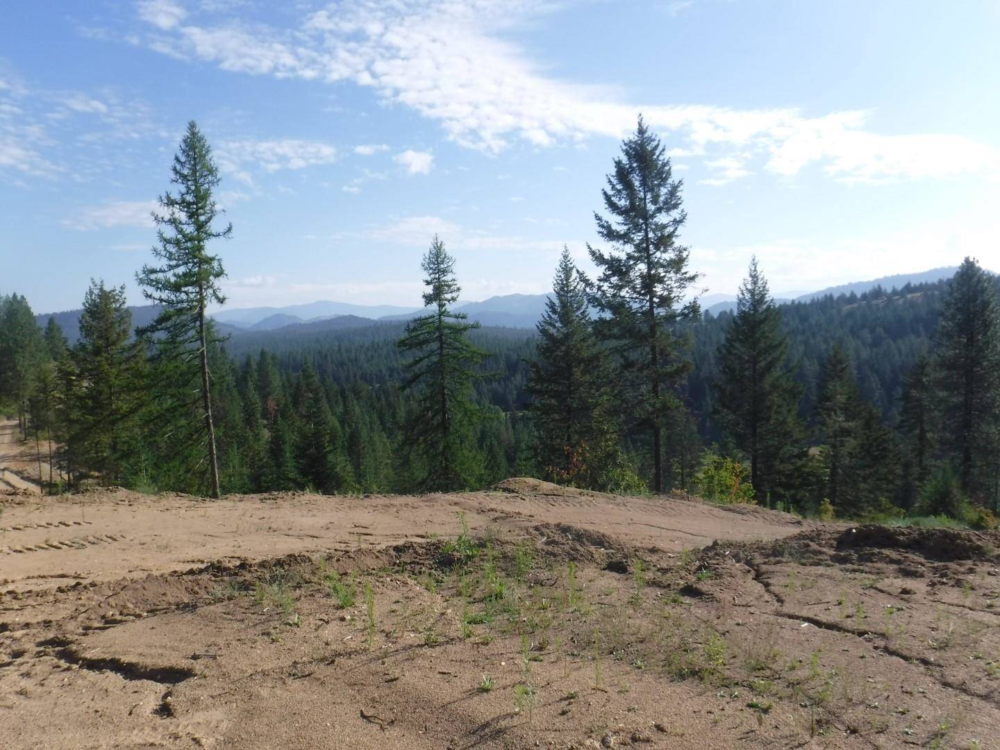 Loon Lake, WA 99148,Lot 2 Moose Ridge WAY