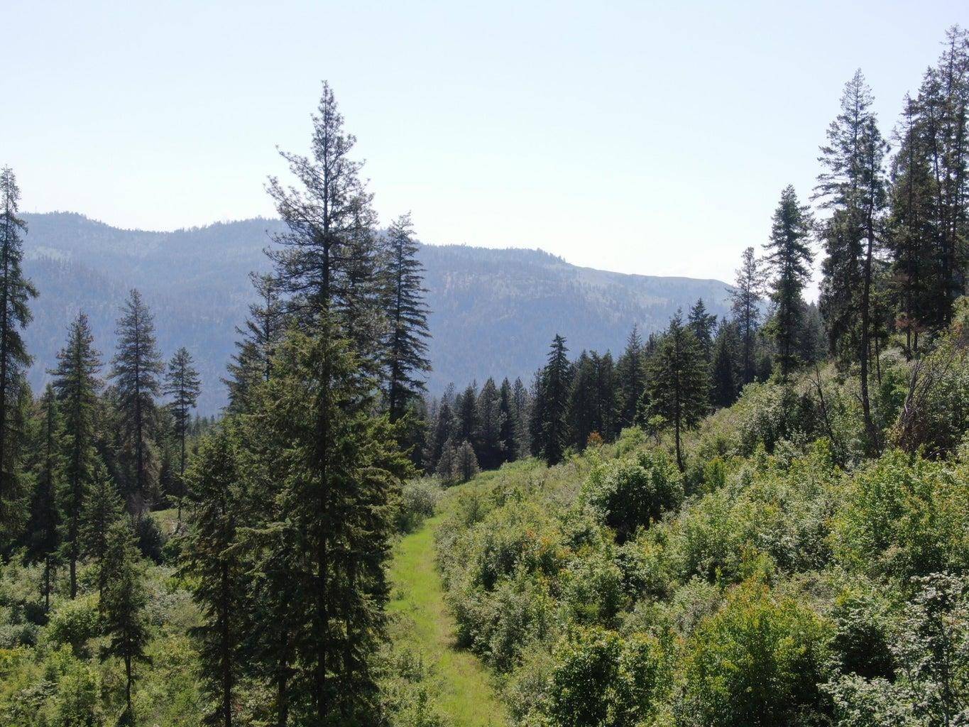Kettle Falls, WA 99141-0000,Lot 4 Matsen Creek Rd