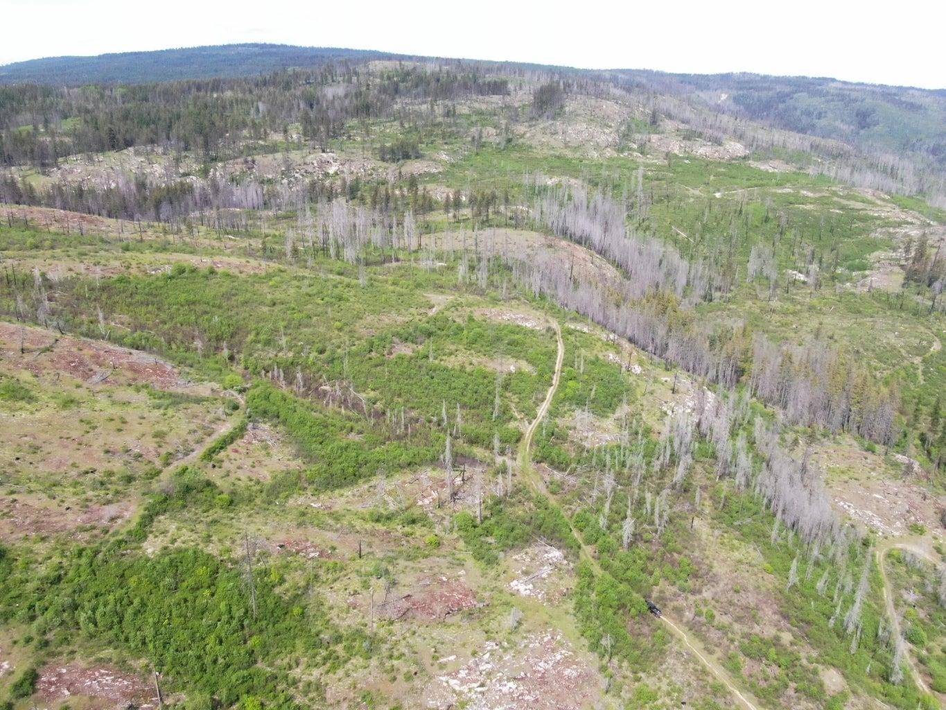 Kettle Falls, WA 99141-0000,XX Matsen Creek Rd