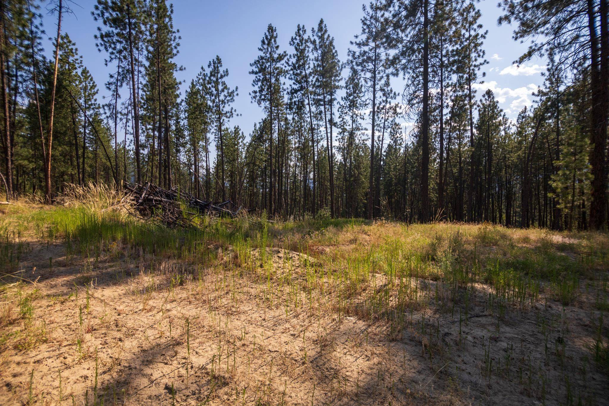 Kettle Falls, WA 99141,1372 Buckley WAY