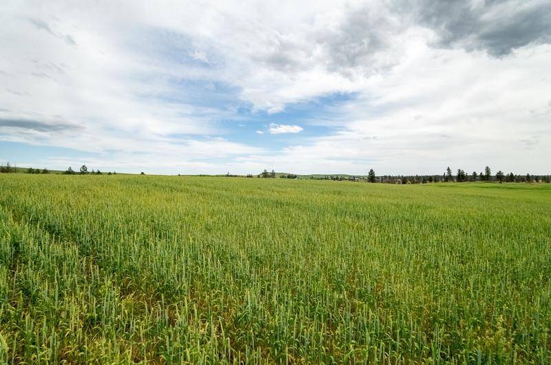 Medical Lake, WA 99022,NKA Lambridge Lane Lot 3 Ln