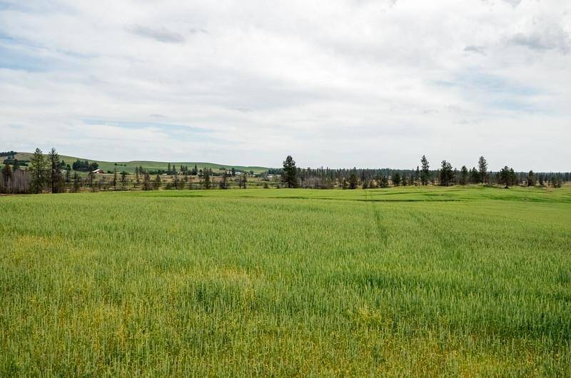 Medical Lake, WA 99022,NKA Duck Pond Lot 2 Ln