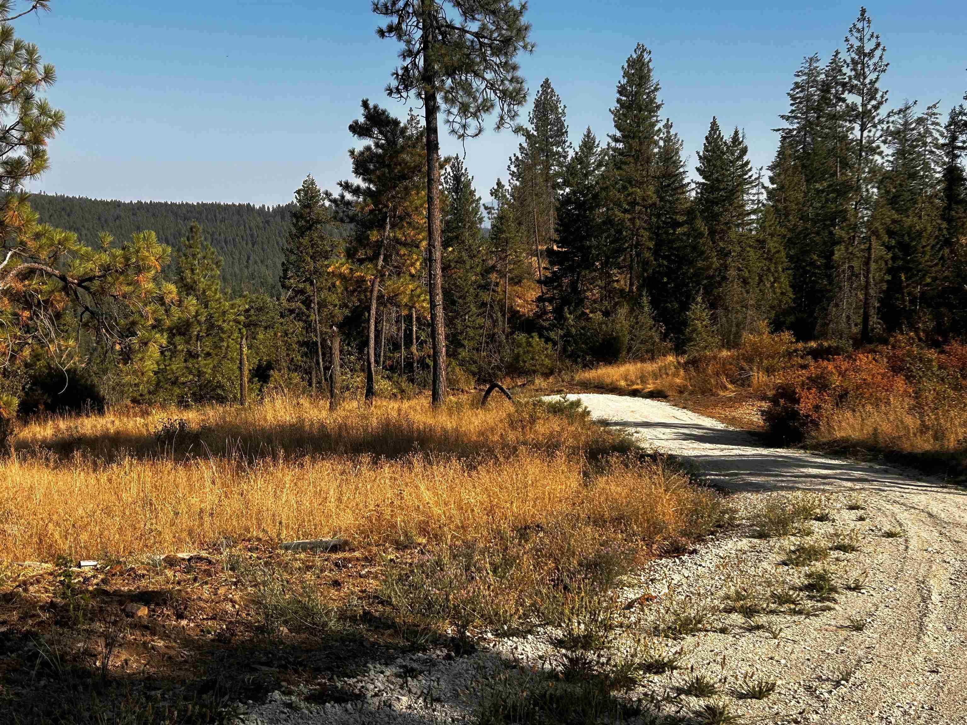 Deer Park, WA 99006,000 Horseshoe Lake Rd