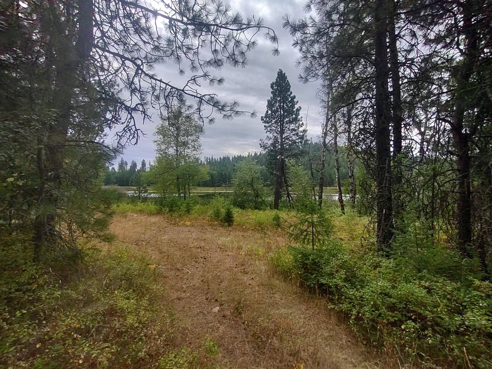 Valley, WA 99181,XX Little Sweden Rd #Lot B