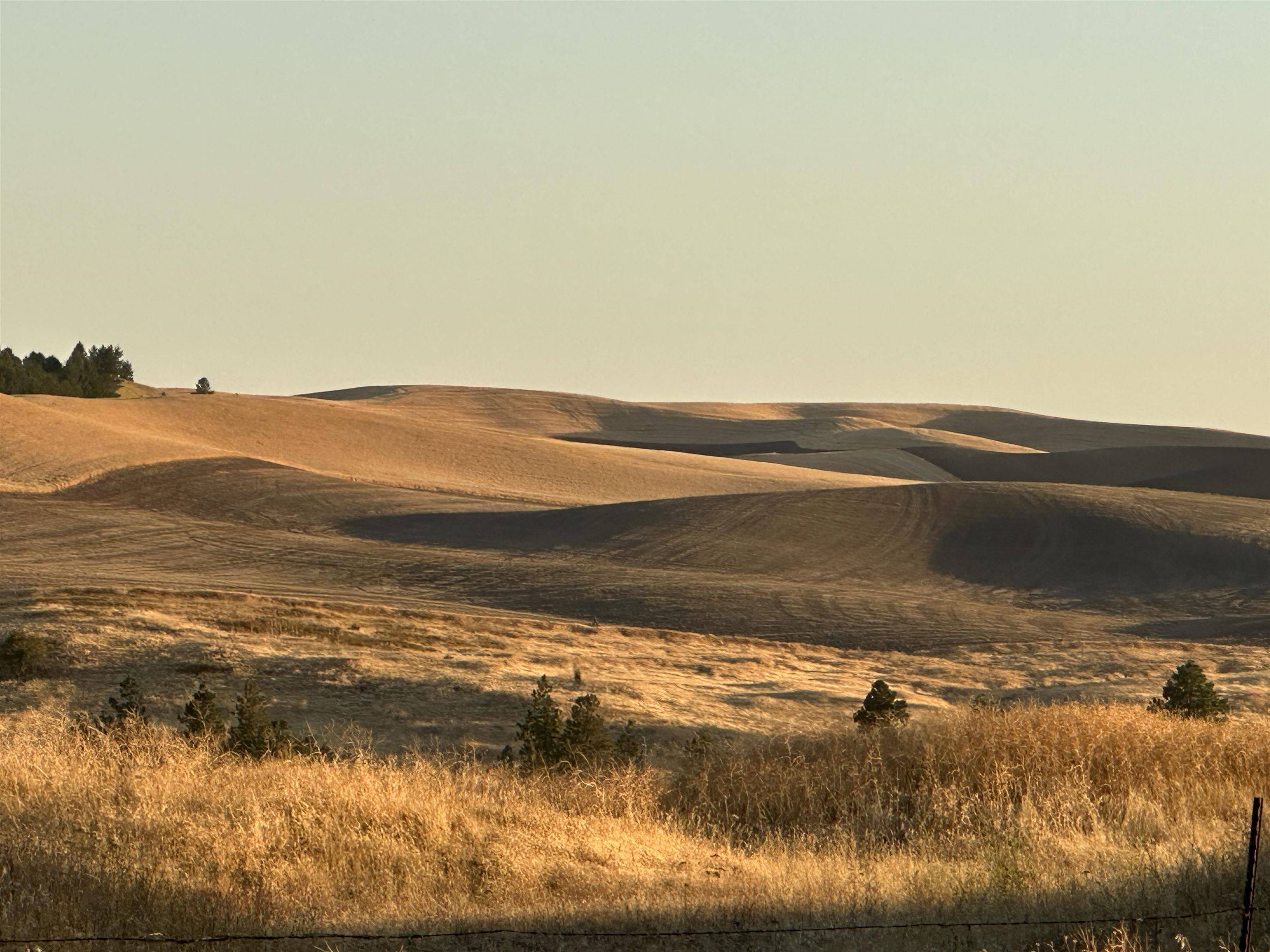 Malden, WA 99149,TBD SE Main St