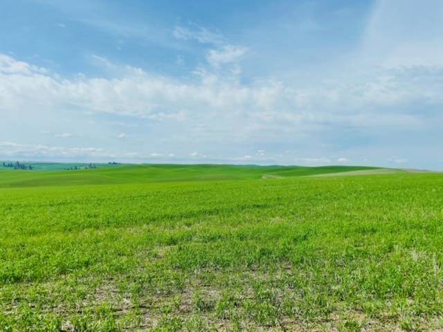 Spangle, WA 99031,NKA Lot B Hays Rd #Lot B - Parcel 9031