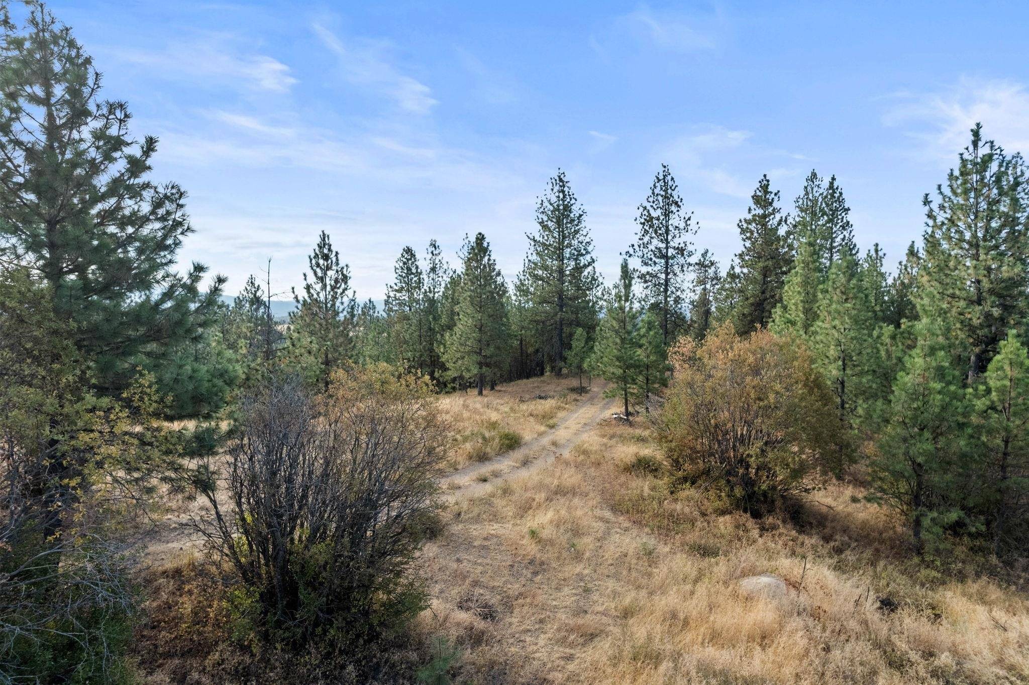 Chattaroy, WA 99003,Lot 14 N Nicolle Ln