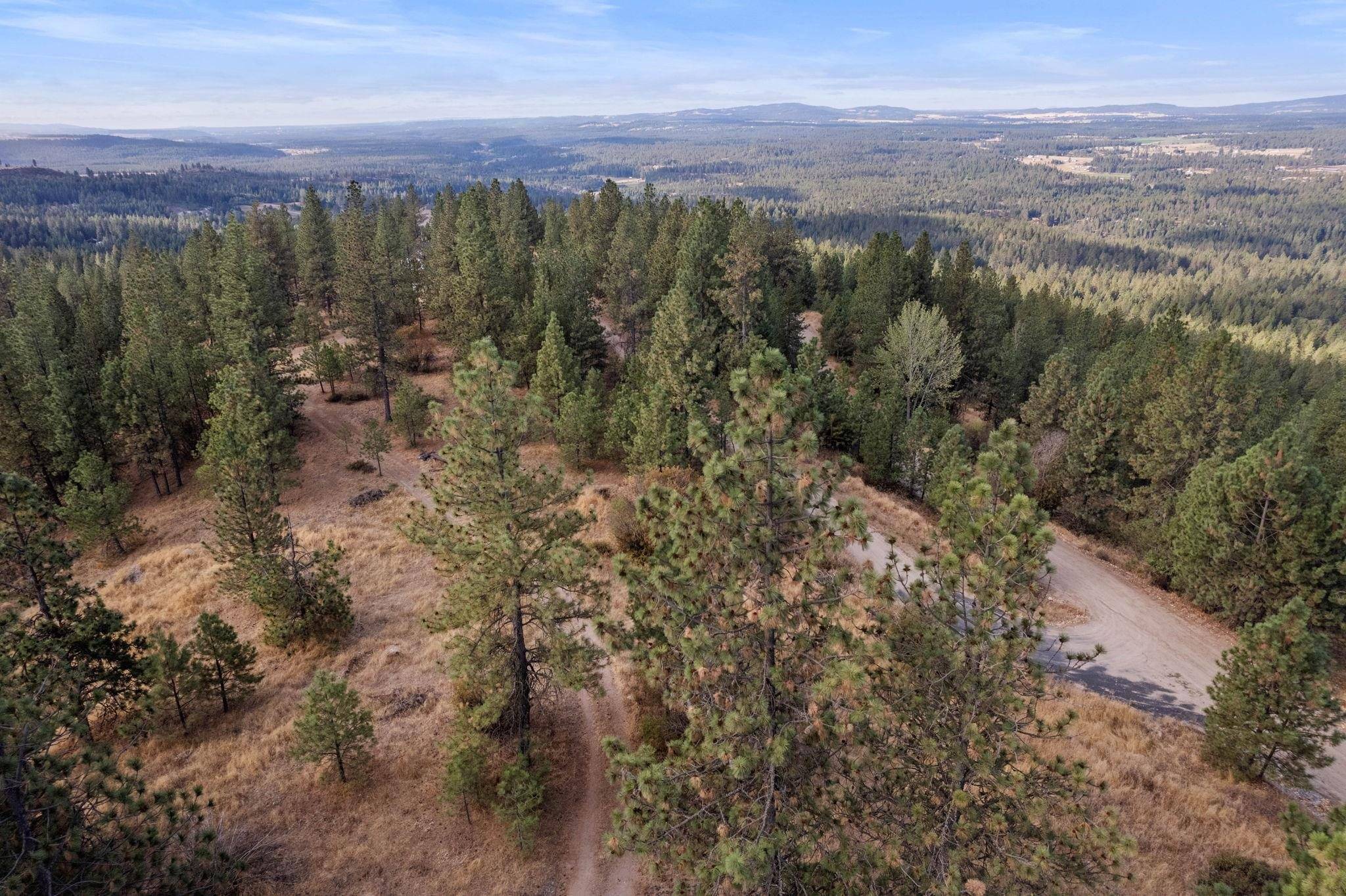 Chattaroy, WA 99003,Lot 14 N Nicolle Ln