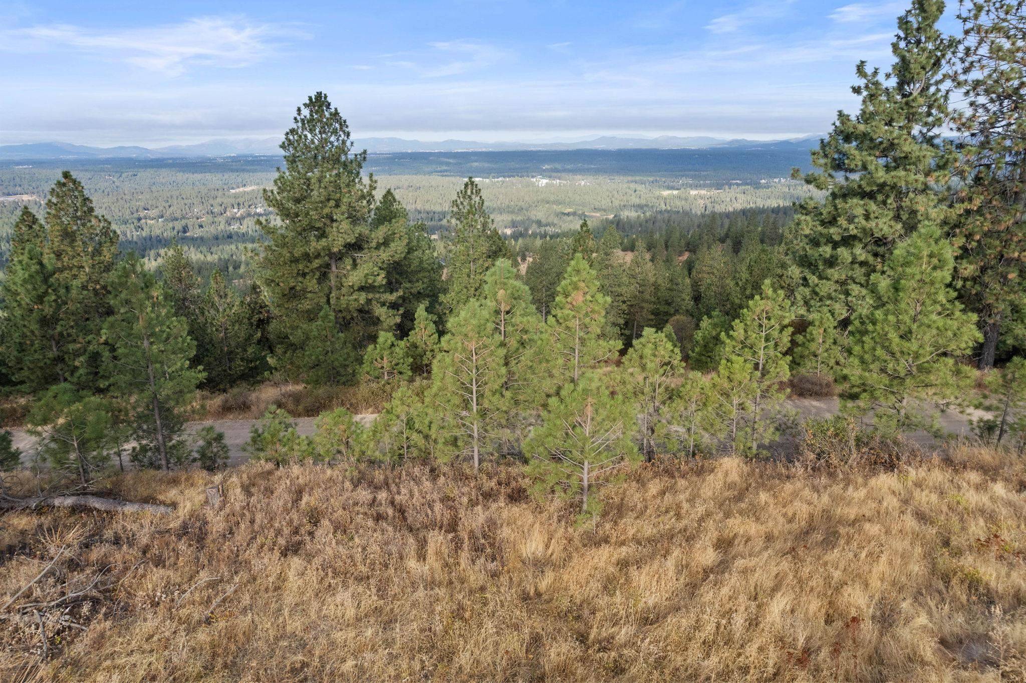 Chattaroy, WA 99003,Lot 14 N Nicolle Ln