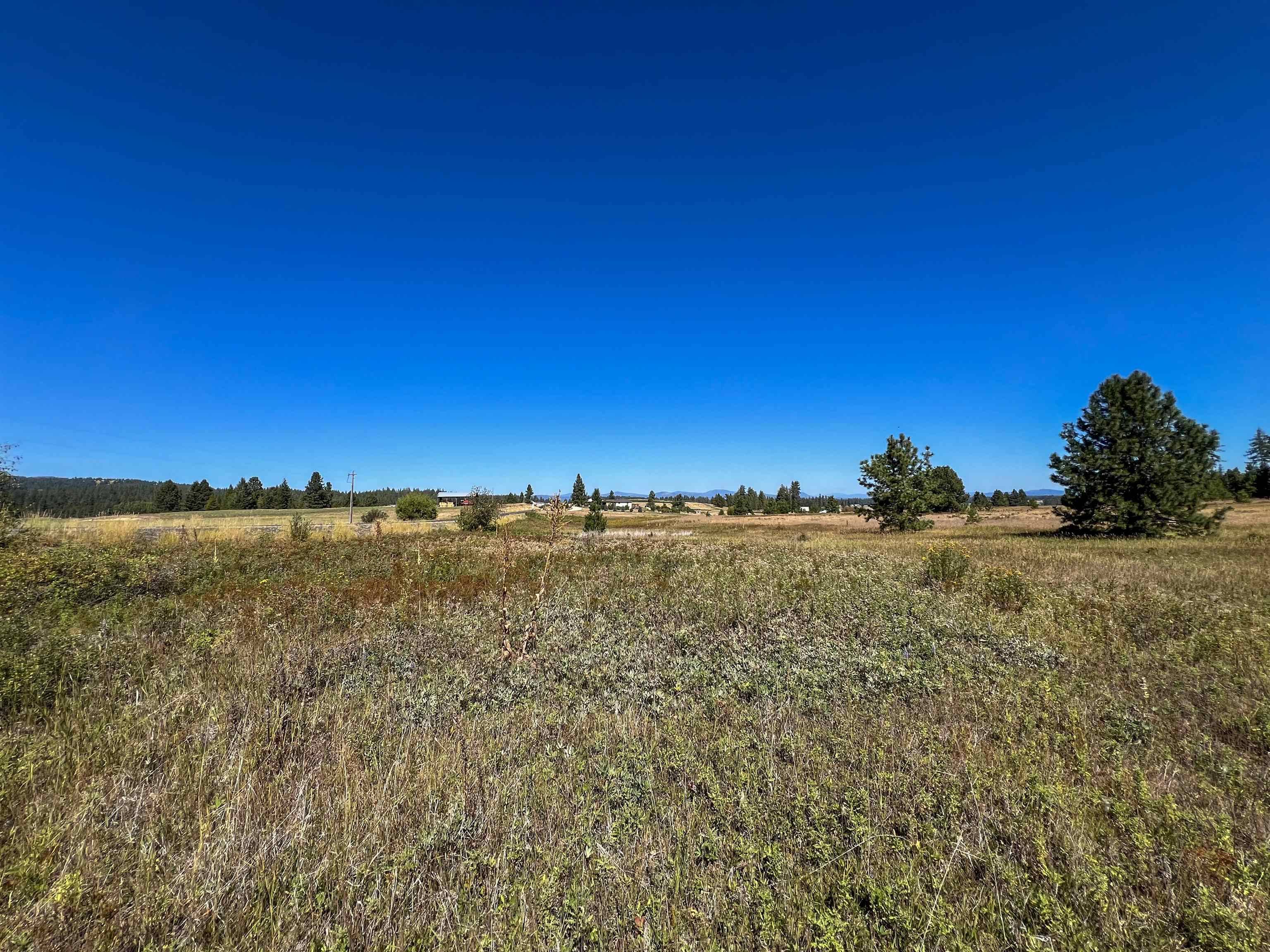 Deer Park, WA 99006,52XX Lot 1 Swenson Rd