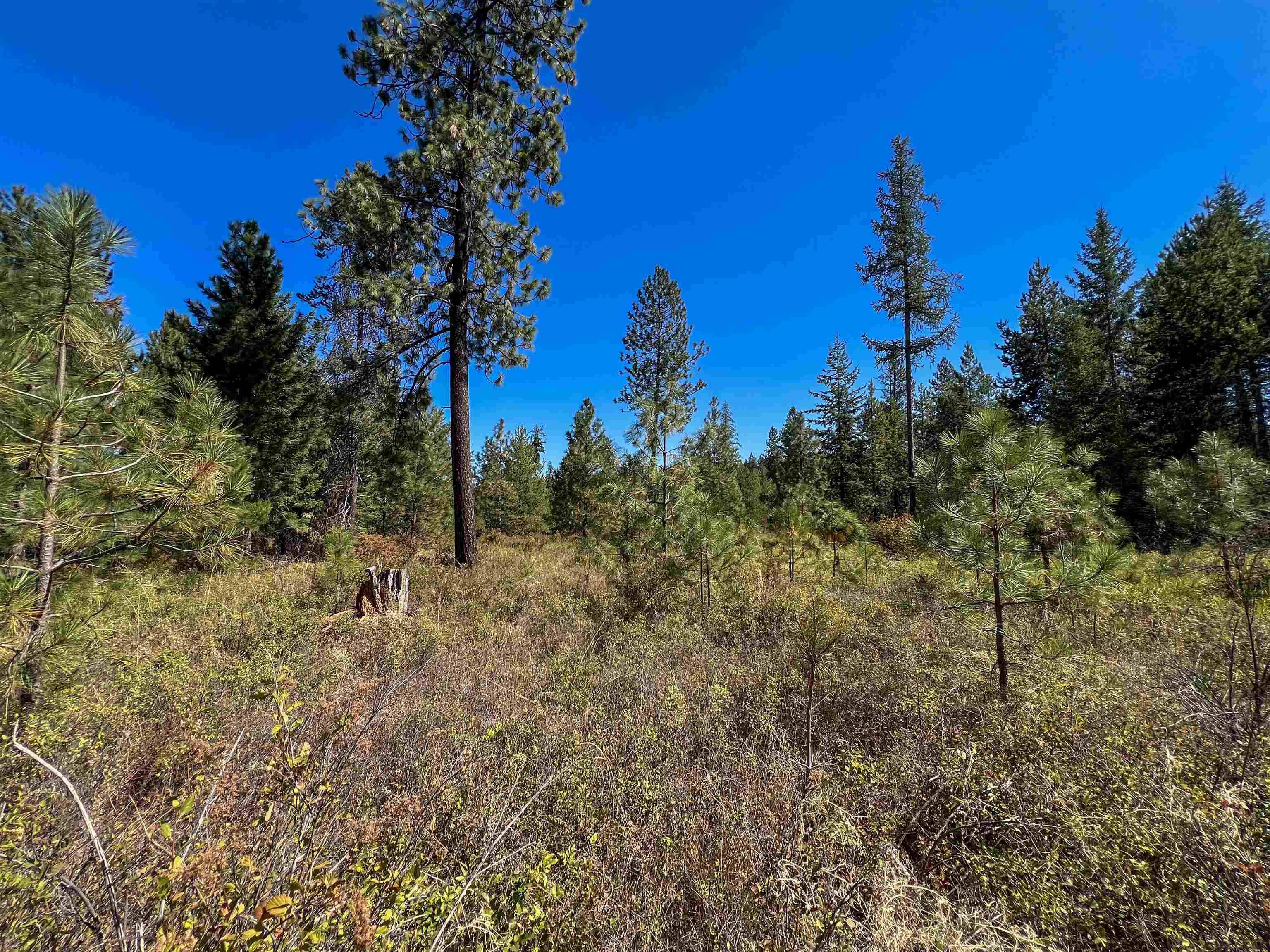 Deer Park, WA 99006,52XX Lot 2 Swenson Rd