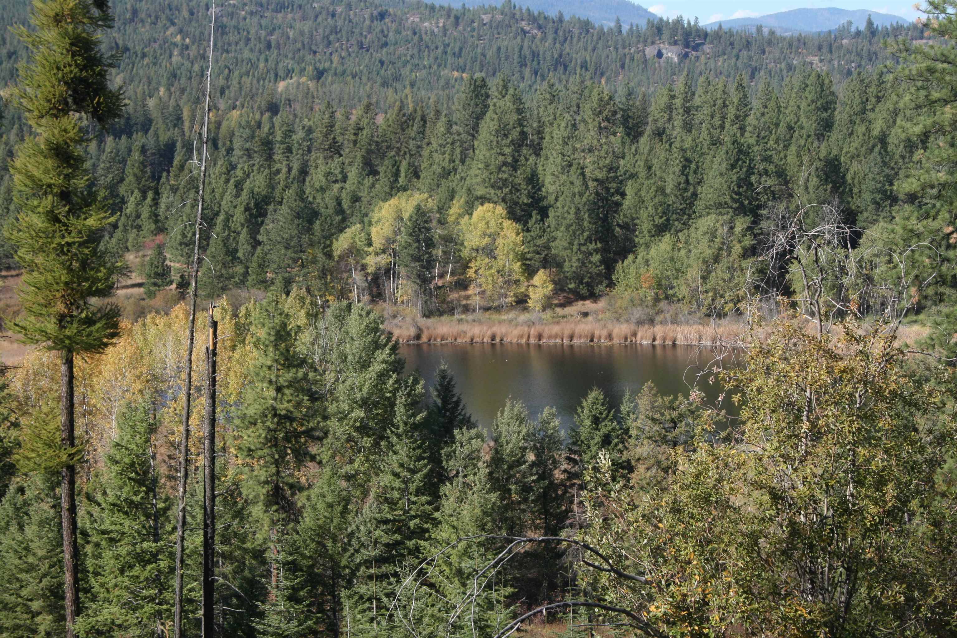 Valley, WA 99181,3673 Little Sweden Rd #Lot C