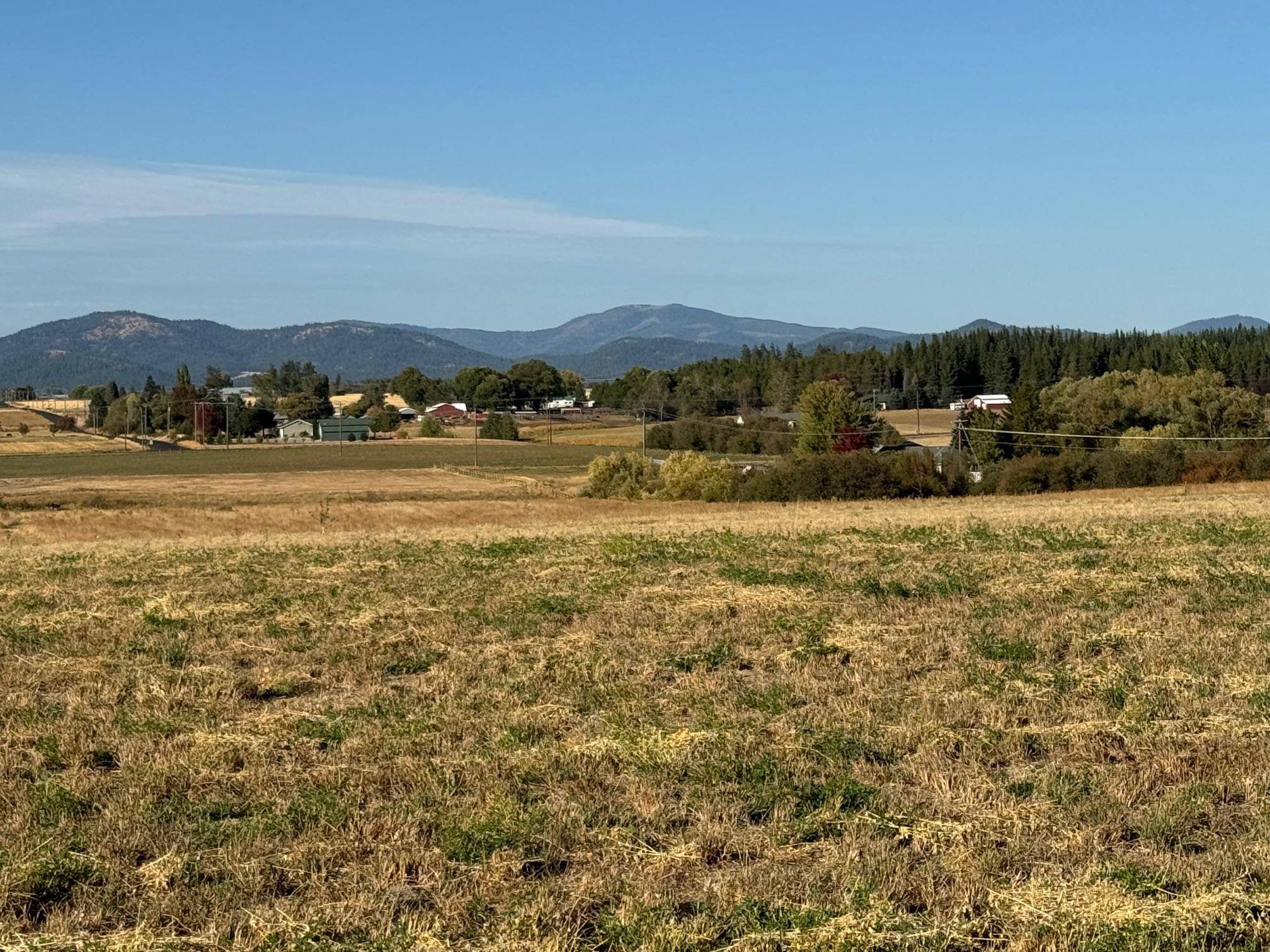 Deer Park, WA 99006,XXXX N Spotted Rd