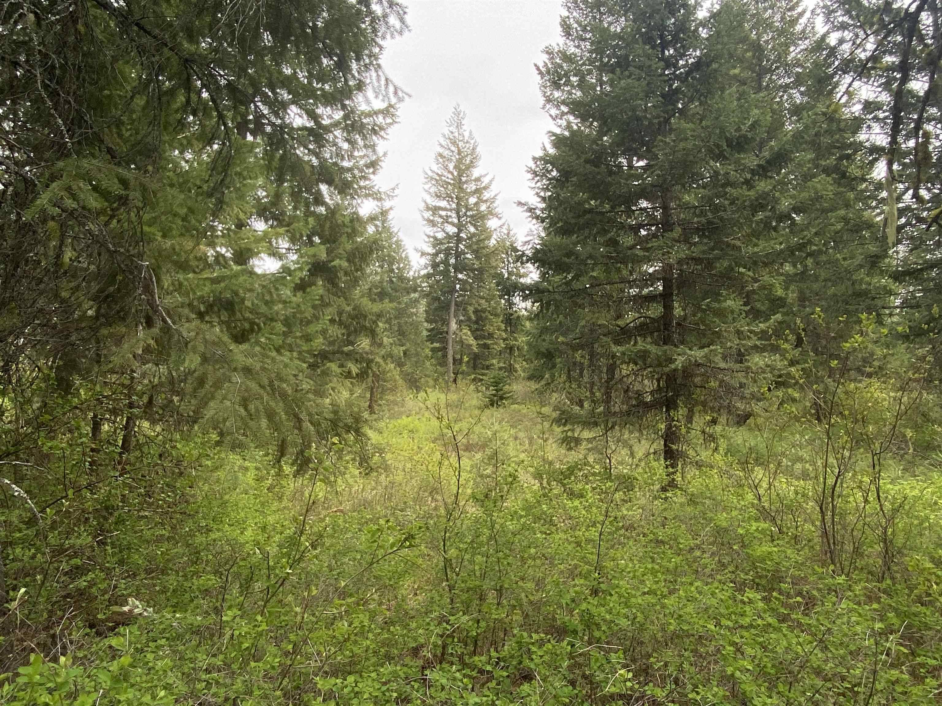Kettle Falls, WA 99141,345X Lael Rd