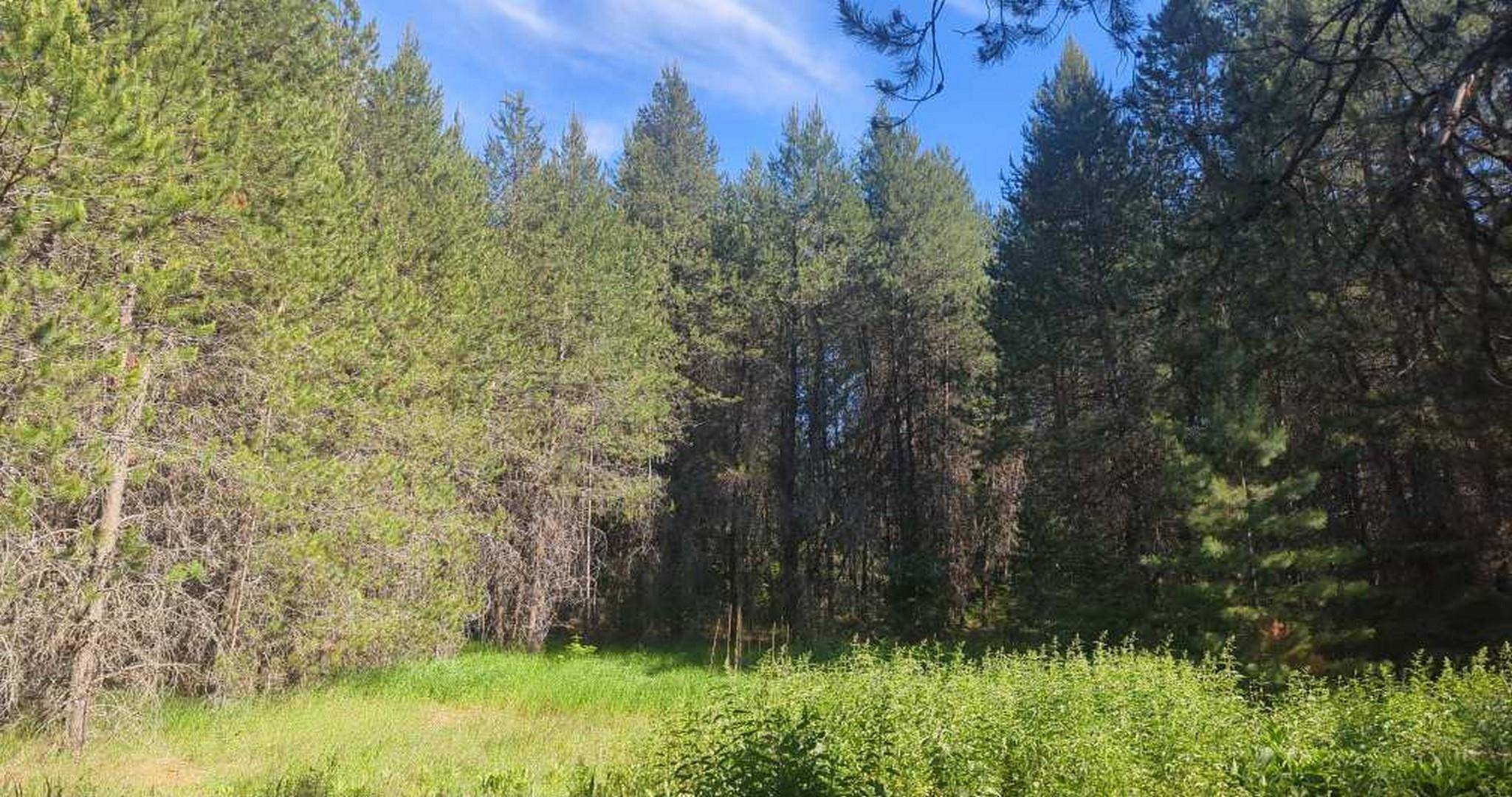 Newport, WA 99156,100 Duck Ln