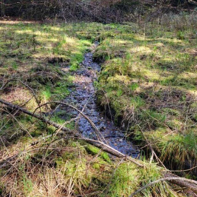 Addy, WA 99101,XXX CC Rd