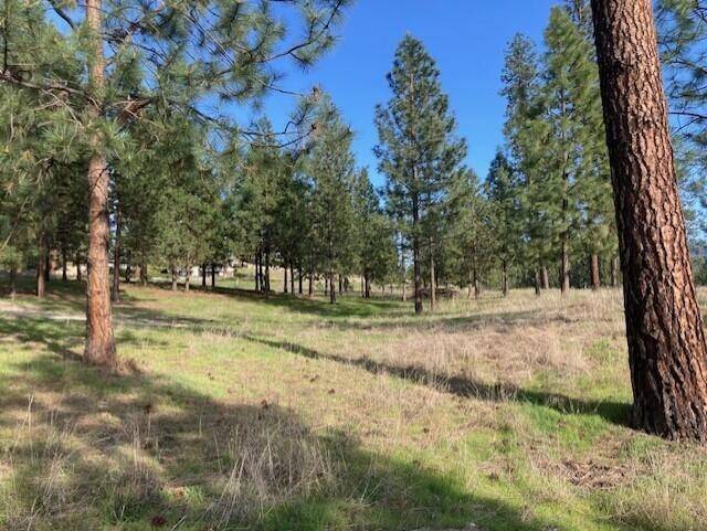 Kettle Falls, WA 99141,1349 Lake Roosevelt WAY
