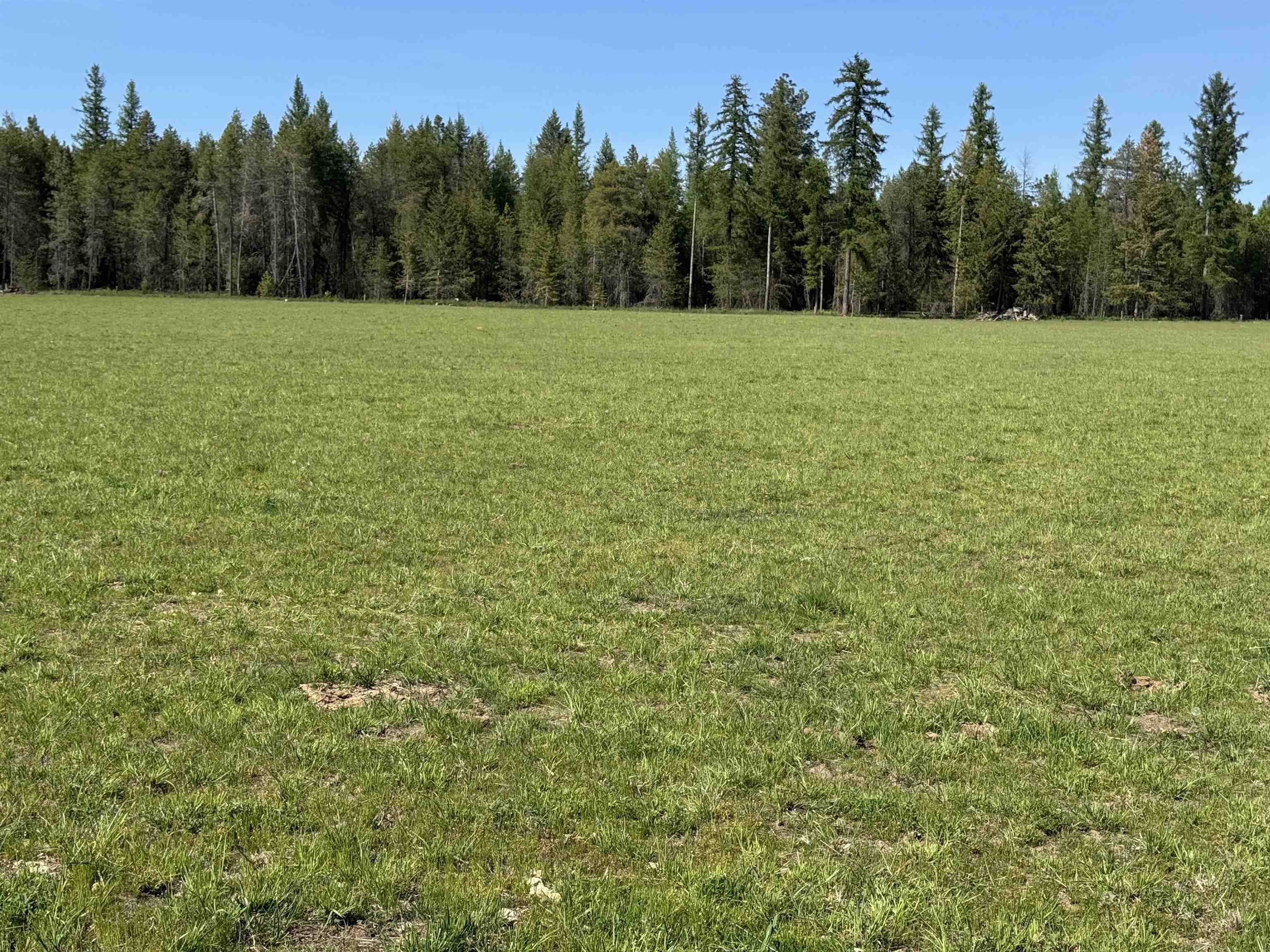Deer Park, WA 99006,29210 N Spotted Rd #Parcel B