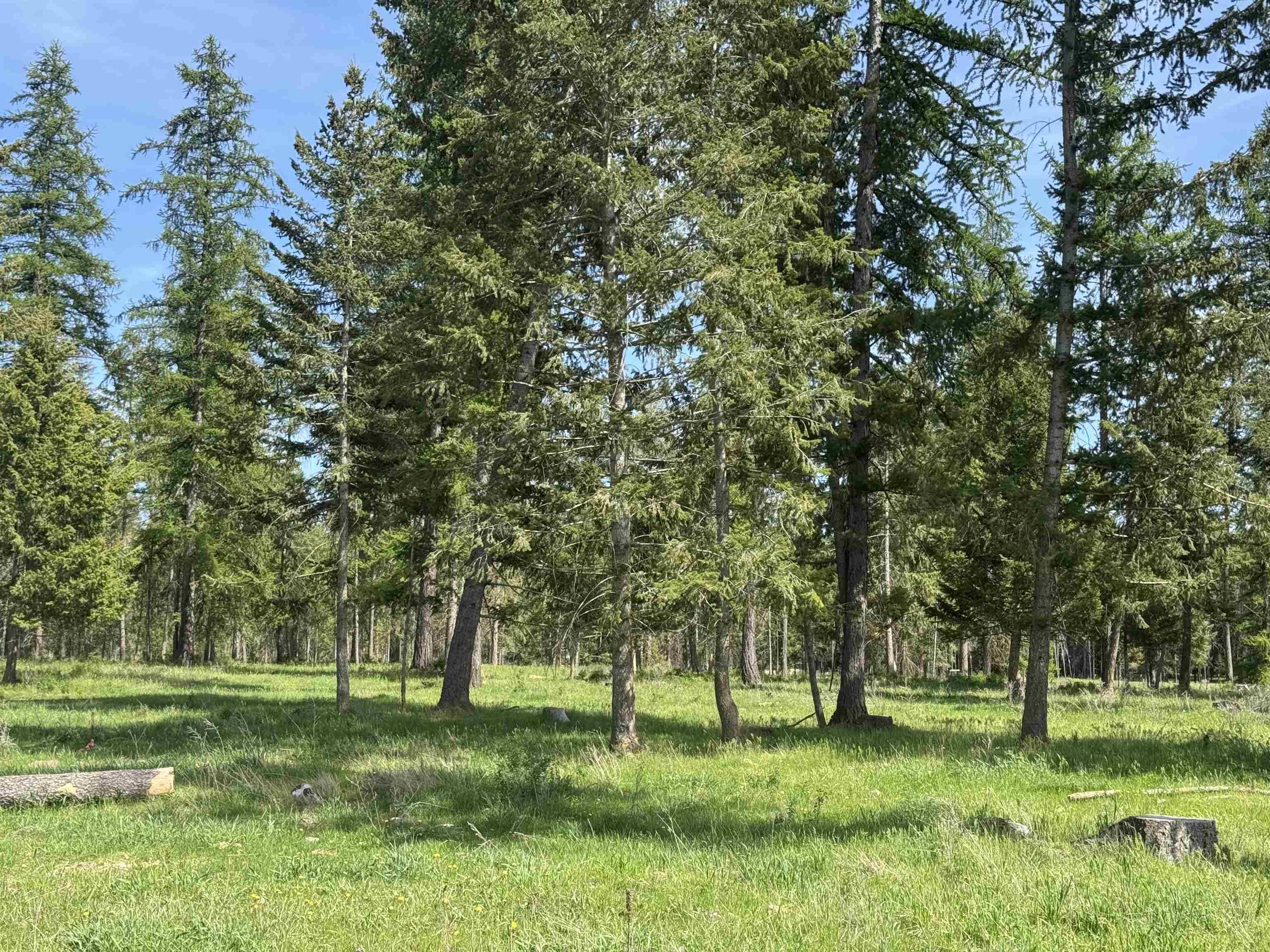 Deer Park, WA 99006,29210 N Spotted Rd #Parcel H