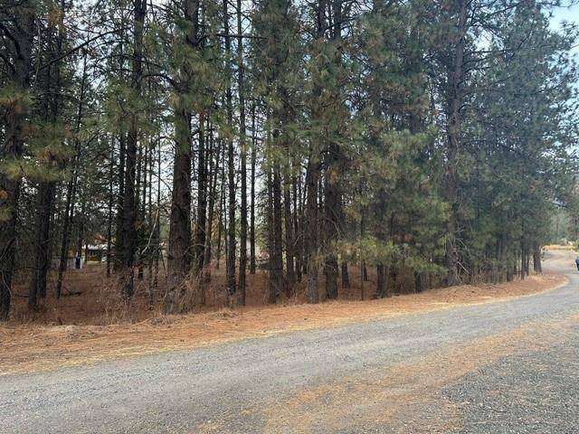 Nine Mile Falls, WA 99026,6614 Thomas Ln
