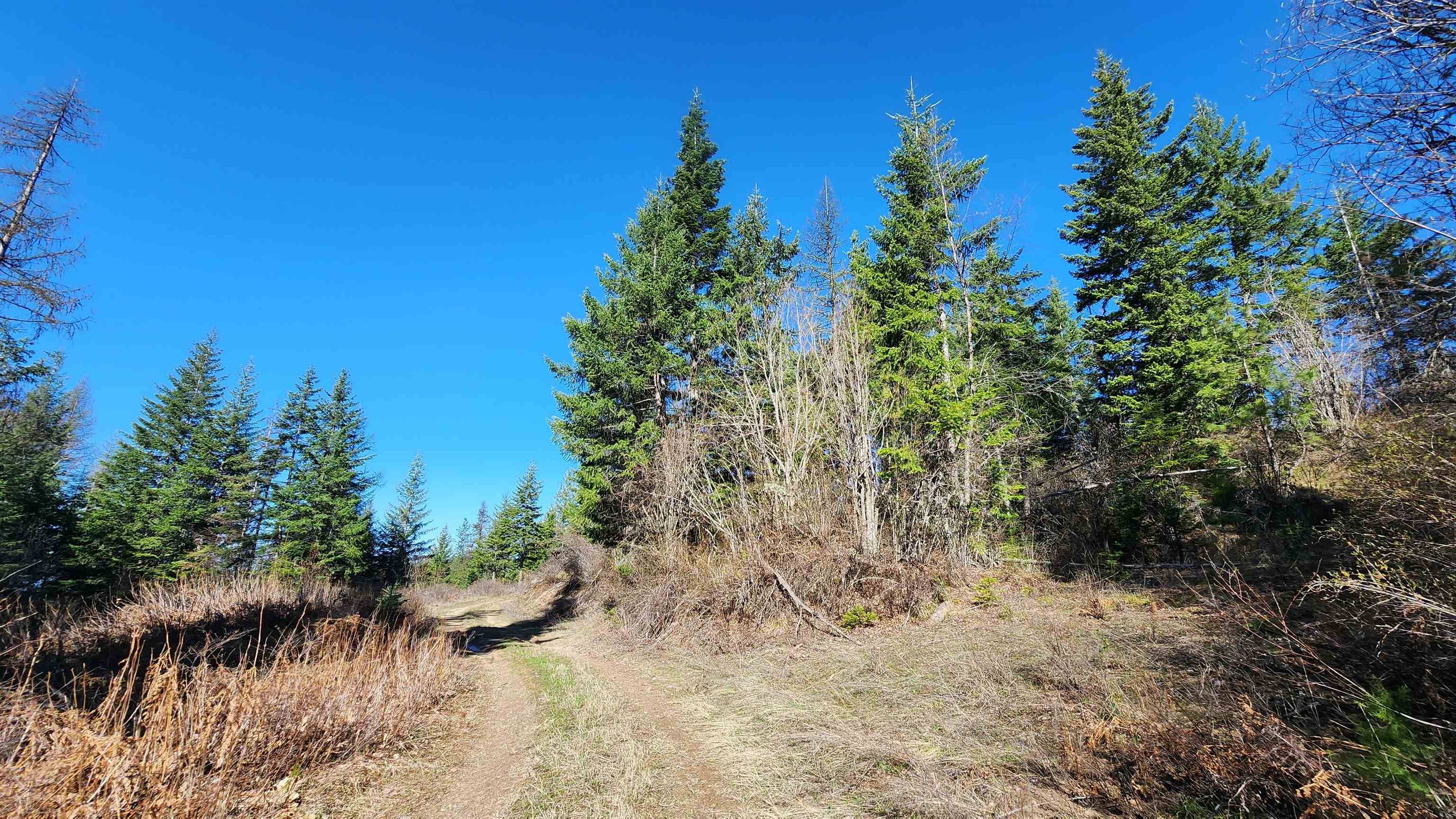 Mead, WA 99021,18xxx E Eagle Ridge Ln