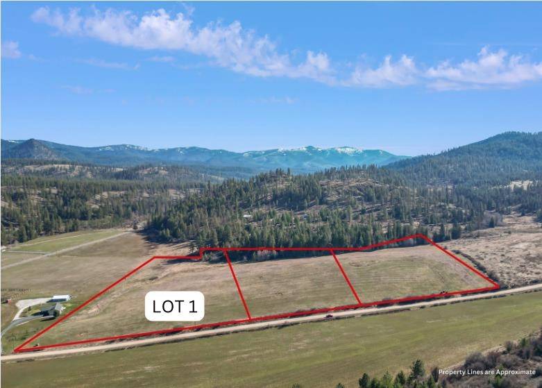 Chewelah, WA 99109,000 Skok Rd #Lot 1