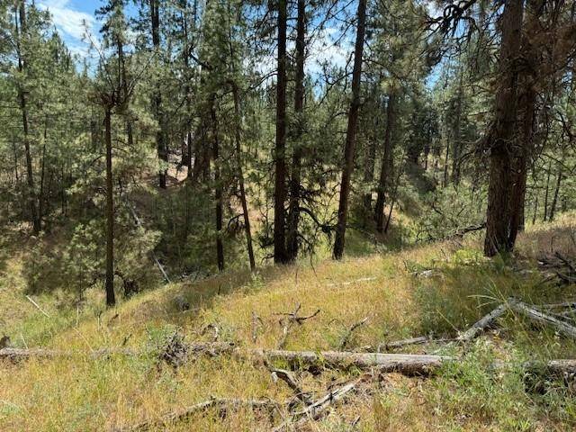 Deer Park, WA 99006,588x Weaver WAY #Lot 4  f