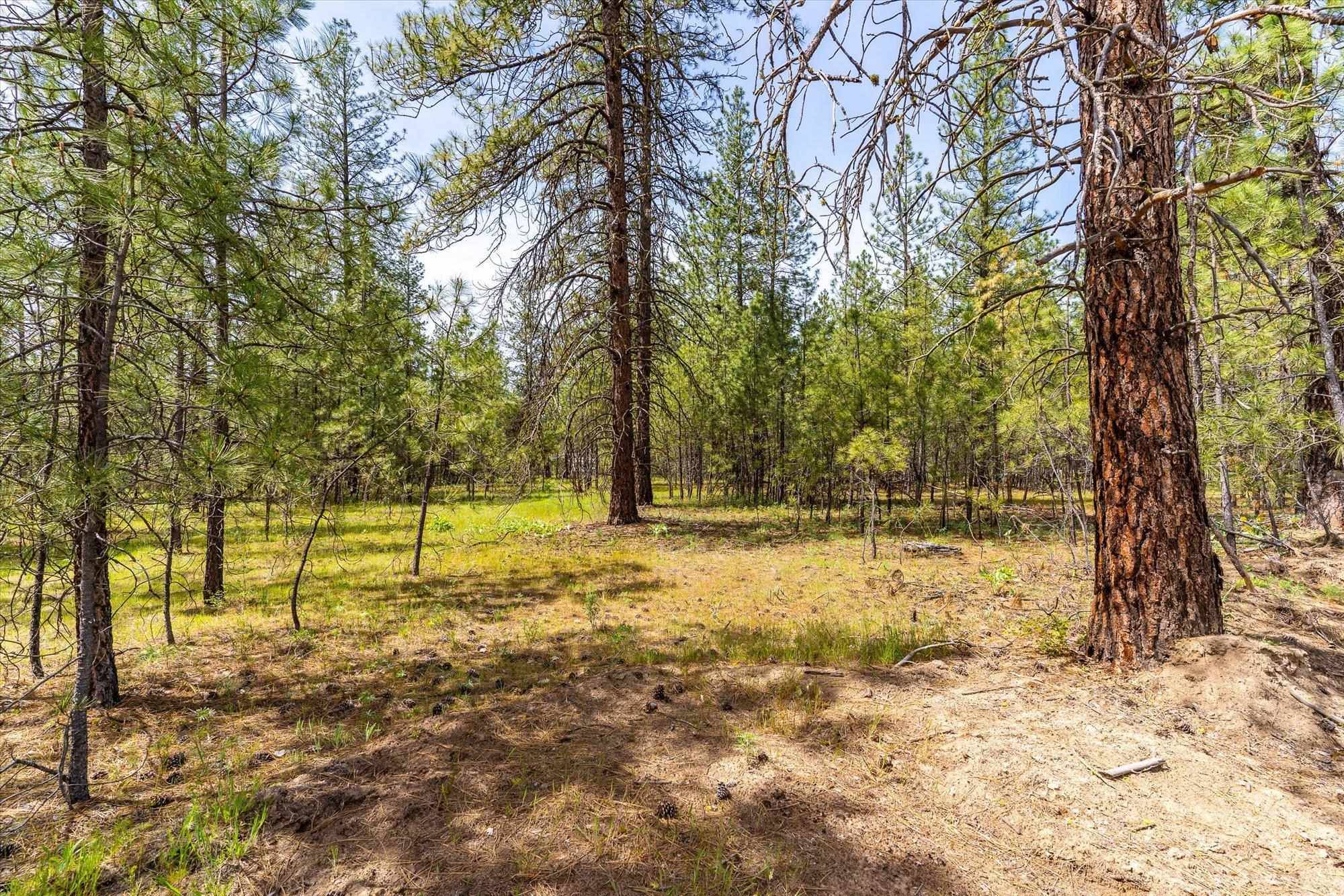Nine Mile Falls, WA 99026,6570 Kate Dr