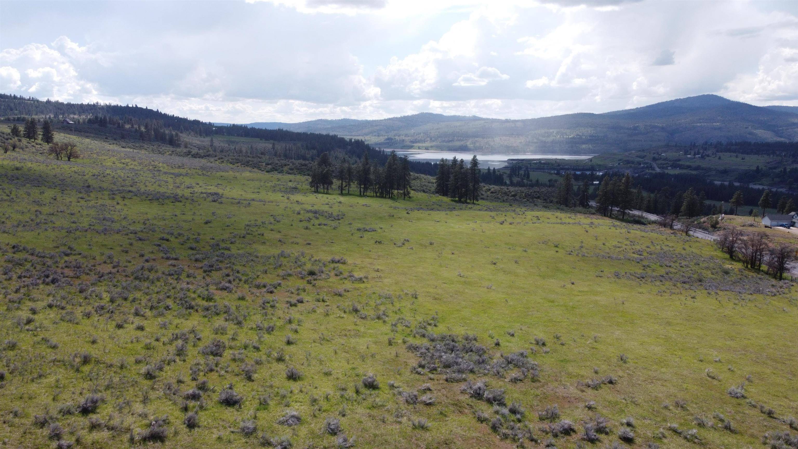 Davenport, WA 99122,Lot 3 N 25 Hwy