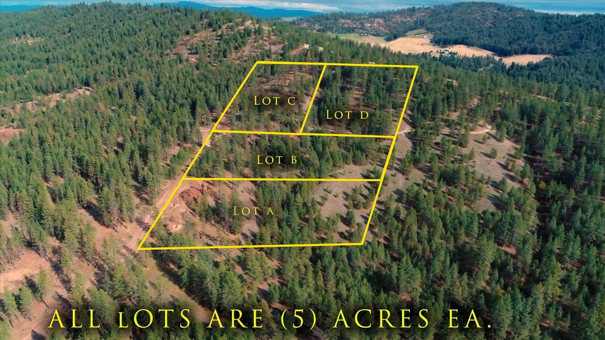 Nine Mile Falls, WA 99006,XX Weaver WAY #Lot A