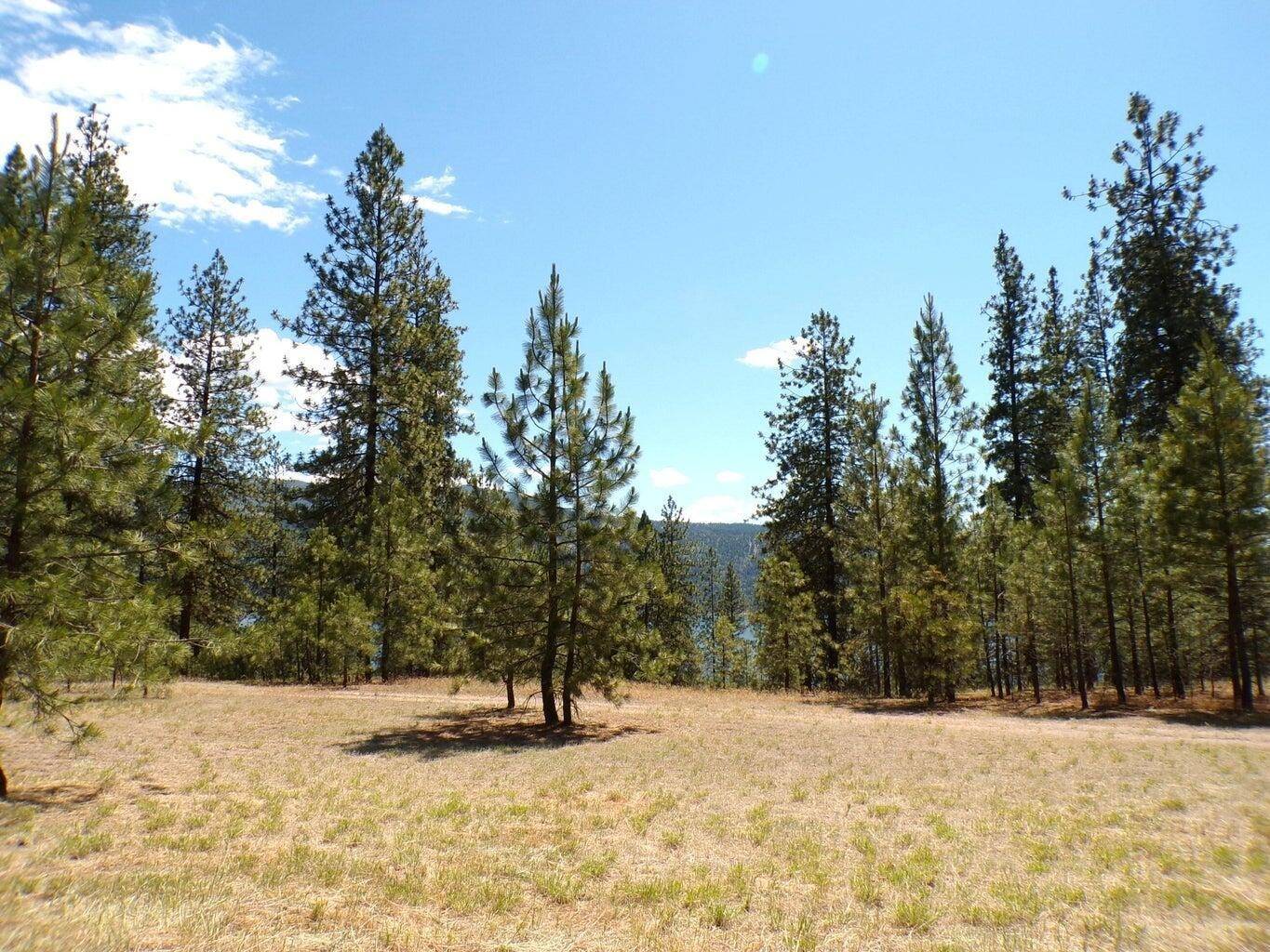 Kettle Falls, WA 99141,5 Crestview Dr