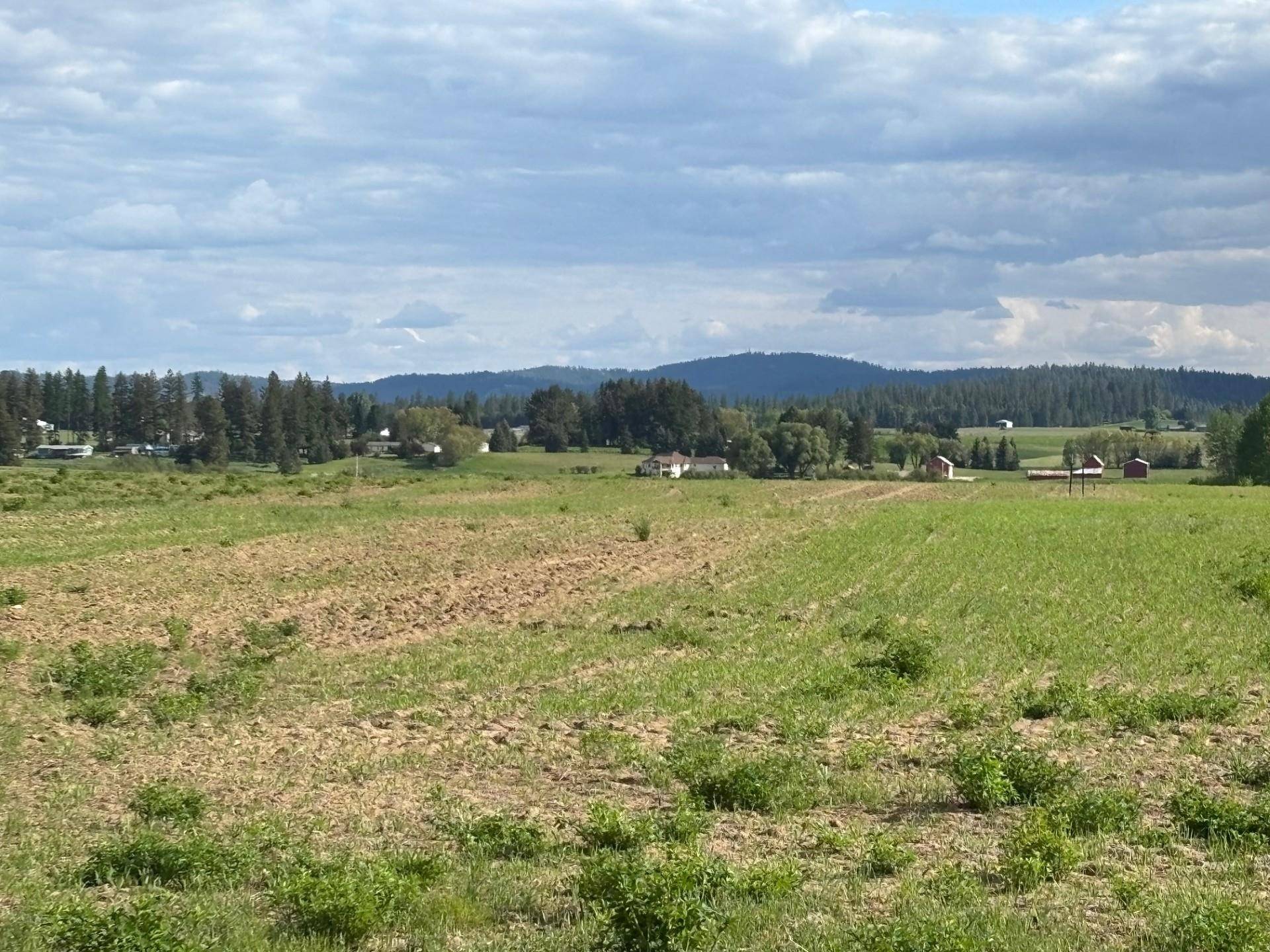 Deer Park, WA 99006,XXXX Bittrich-Antler Rd