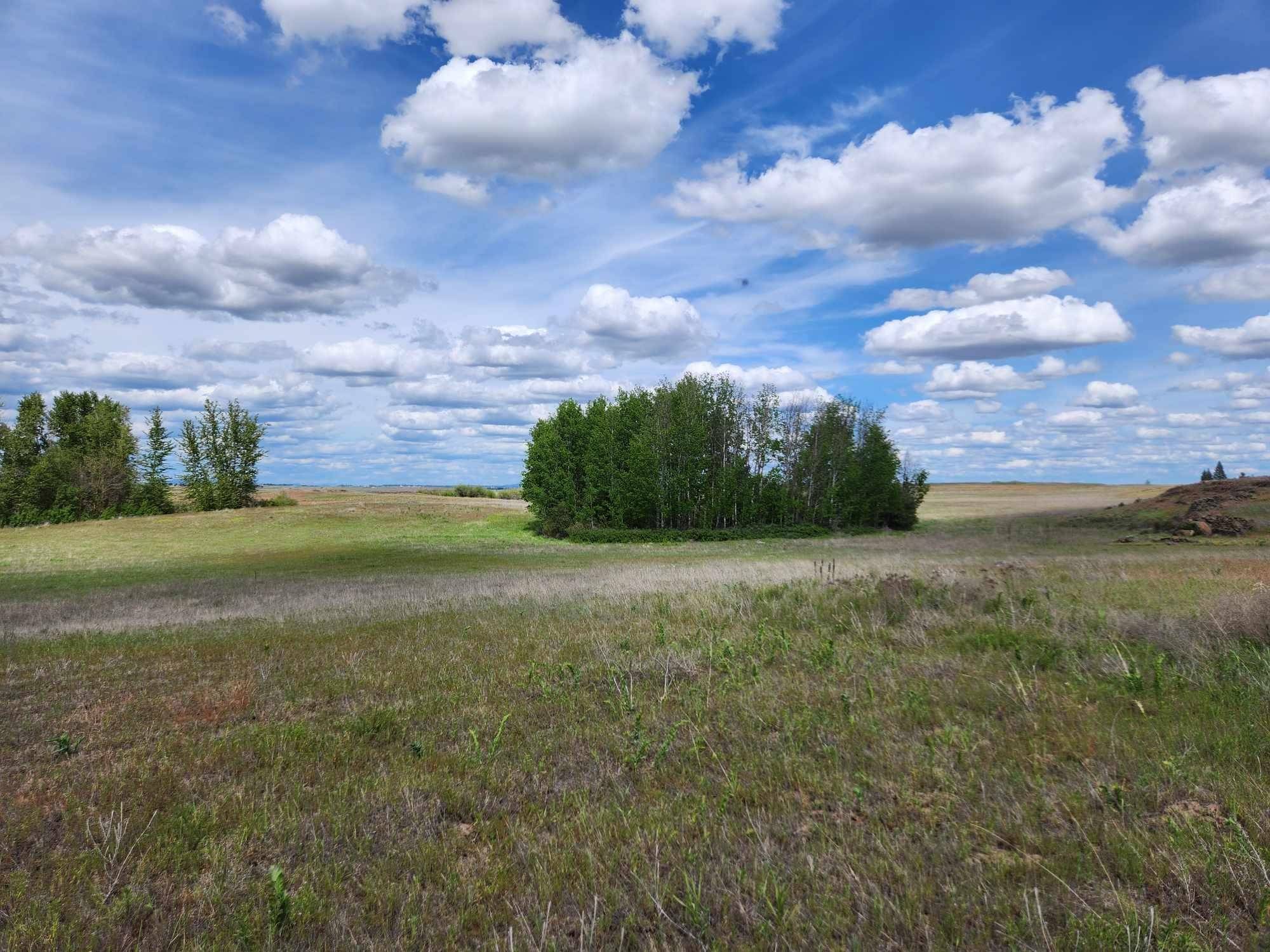 Medical Lake, WA 99022,26210 W Hallett Rd