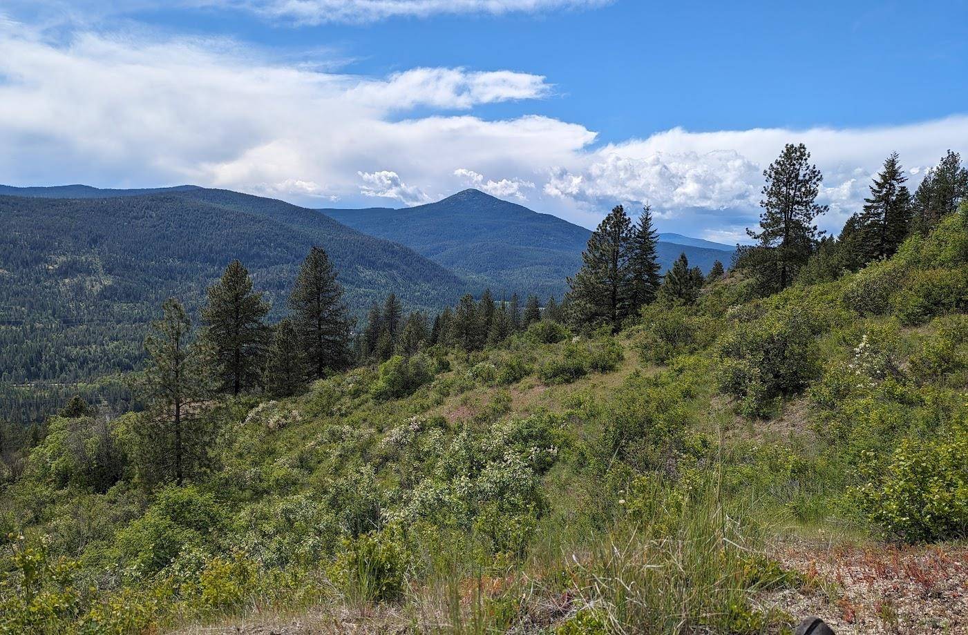 Cusick, WA 99119,NKA N Leclerc Rd