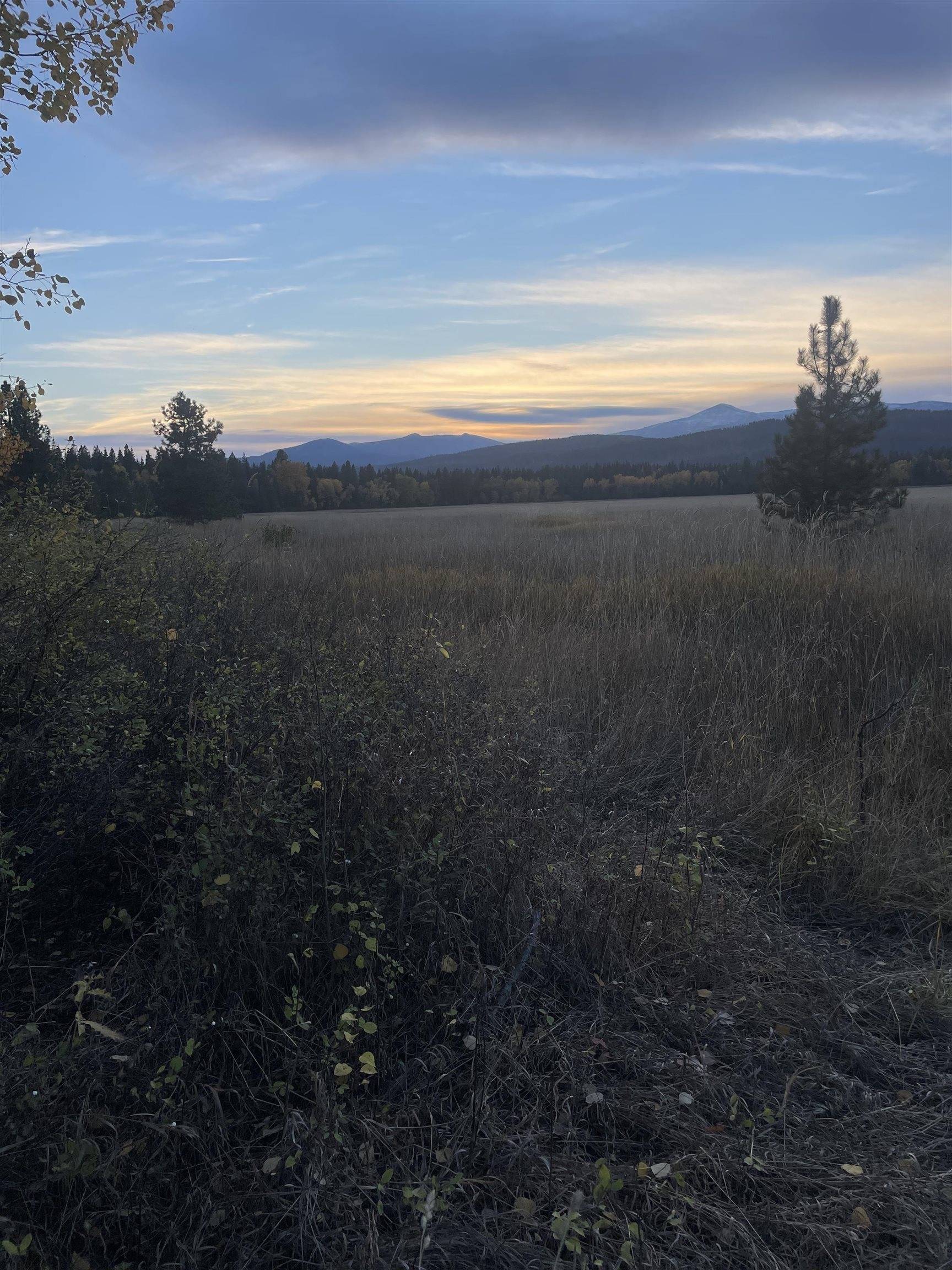 Cusick, WA 99119,360 Chuck Wagon Ln