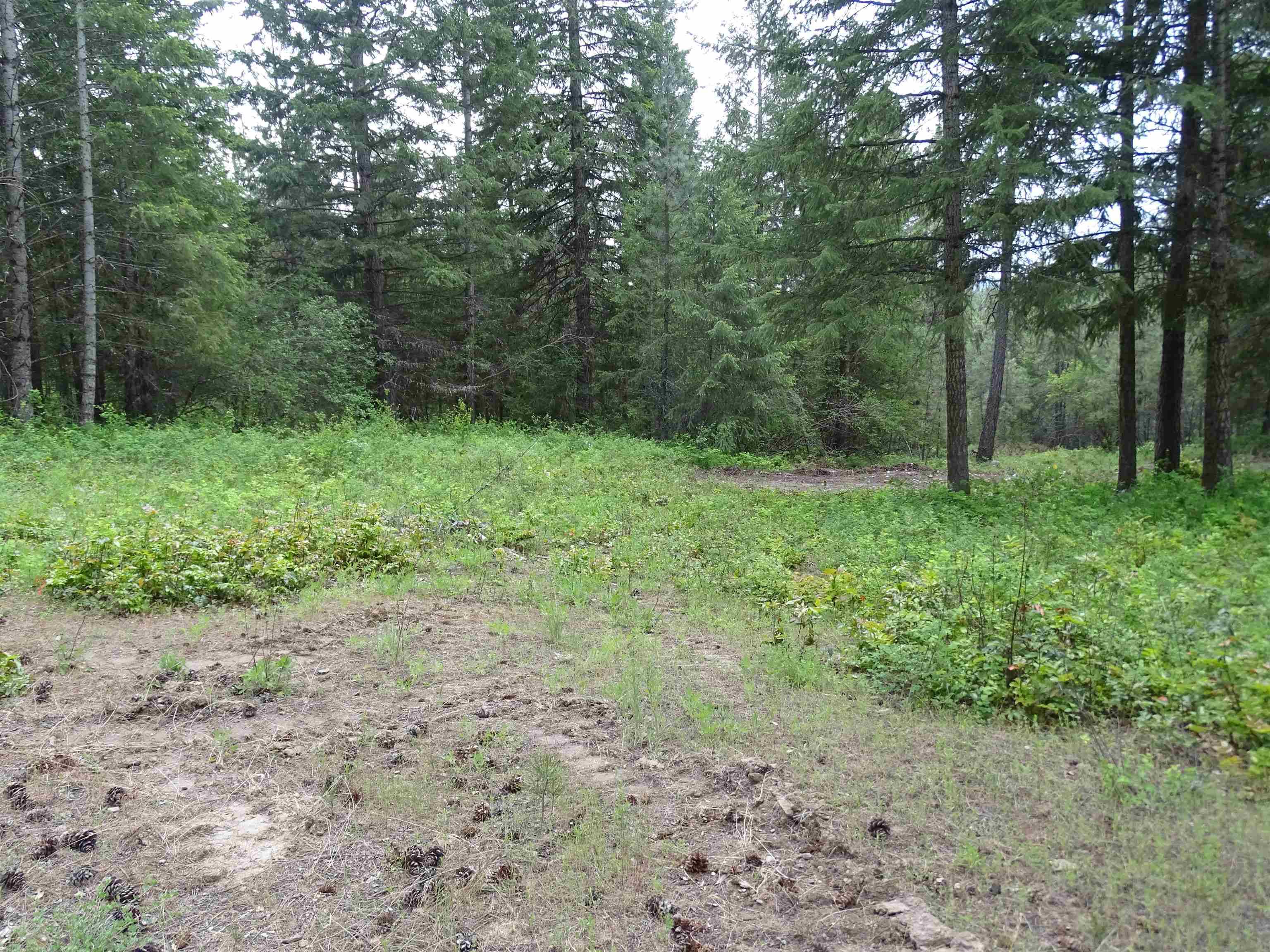 Valley, WA 99181,3023 Huffman Rd